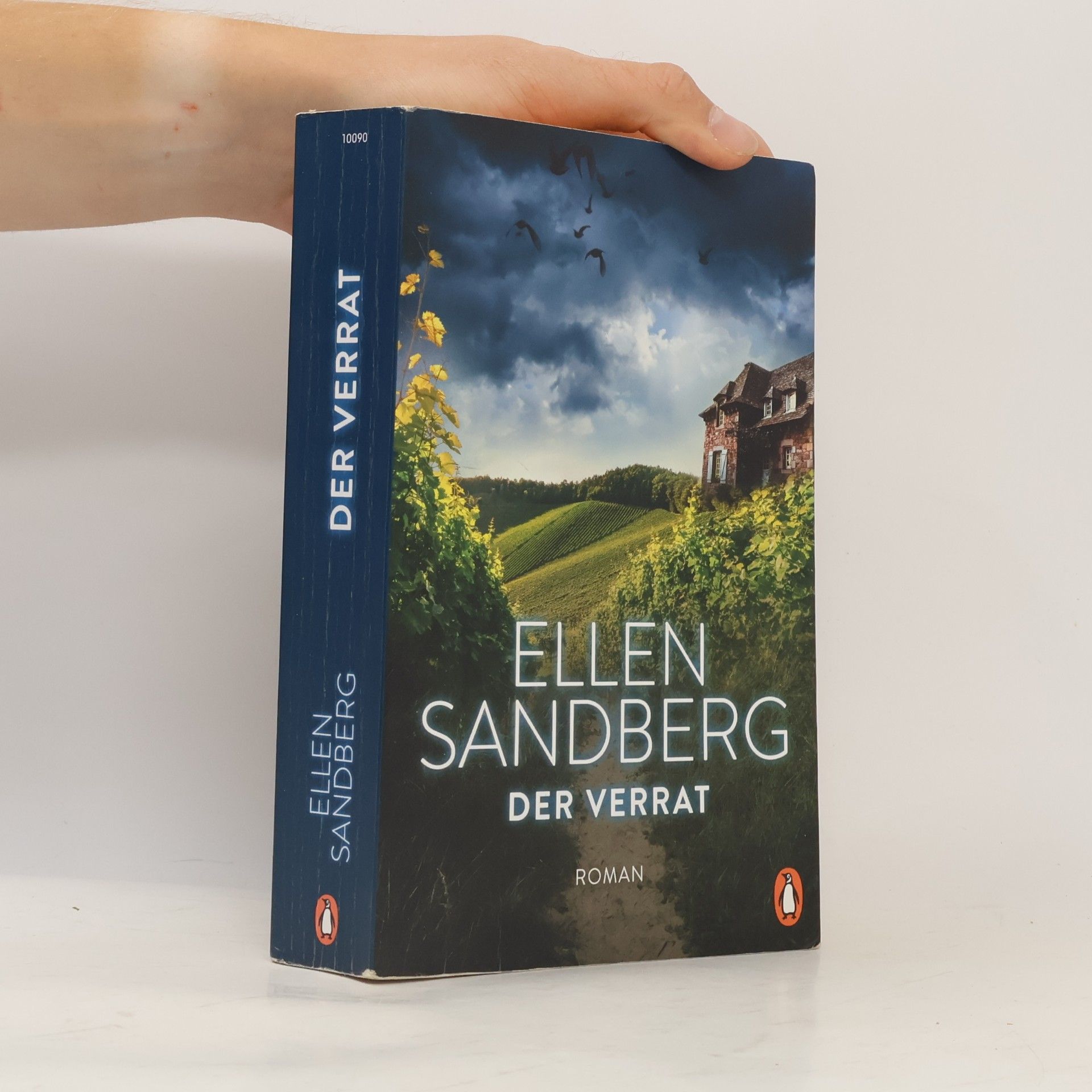 Ellen Sandberg Der Verrat
