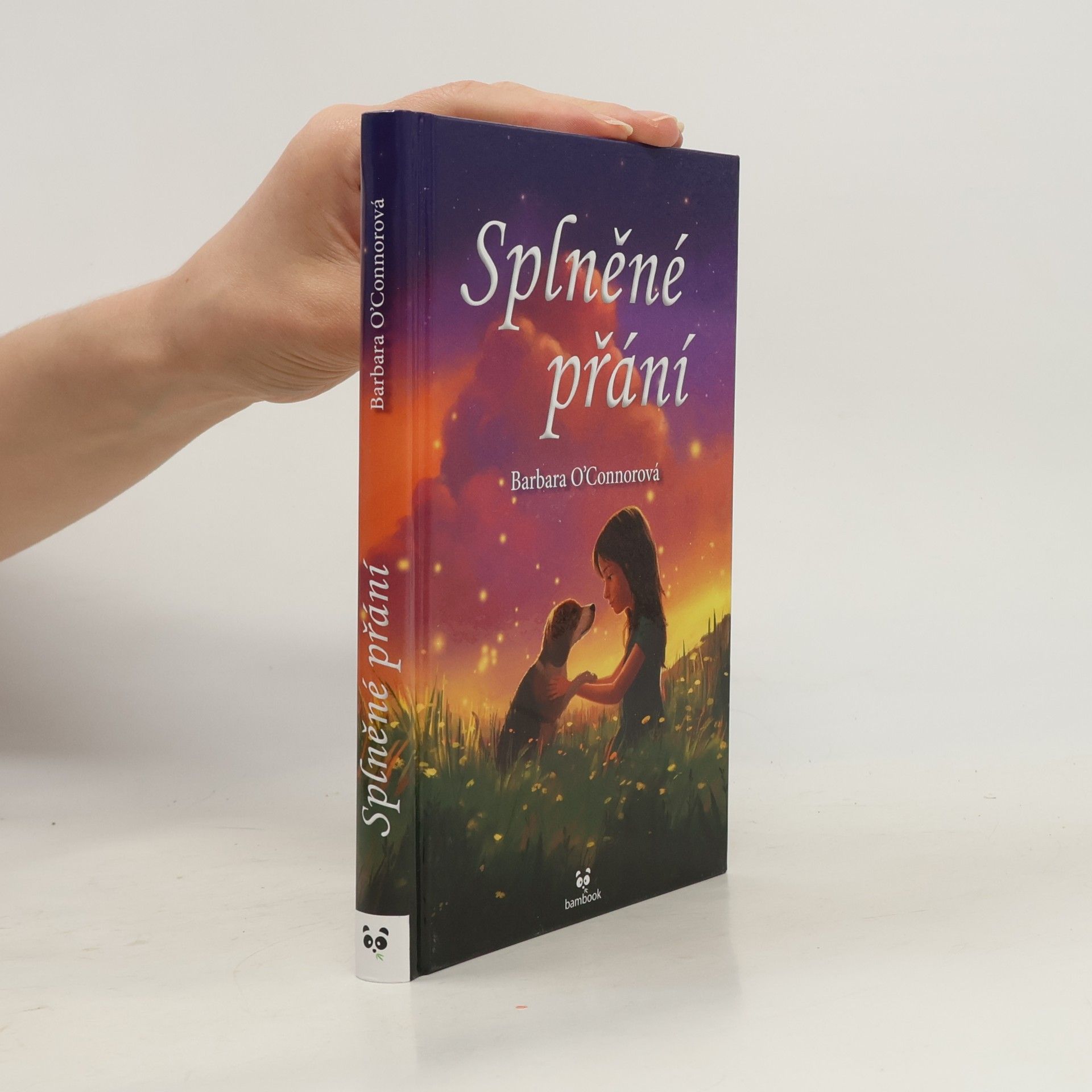 Barbara O. Connor Splněné přání