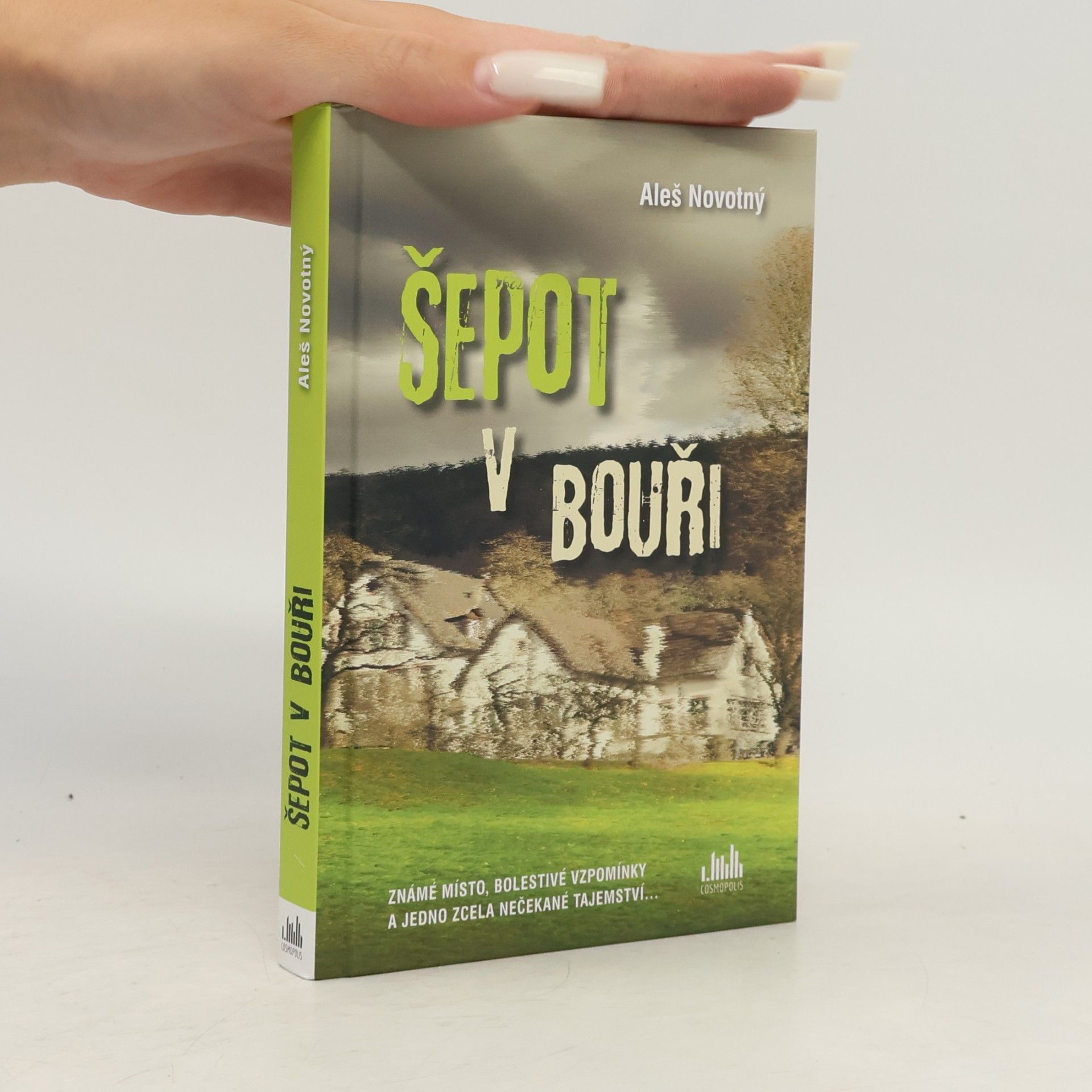 Aleš Novotný Šepot v bouři