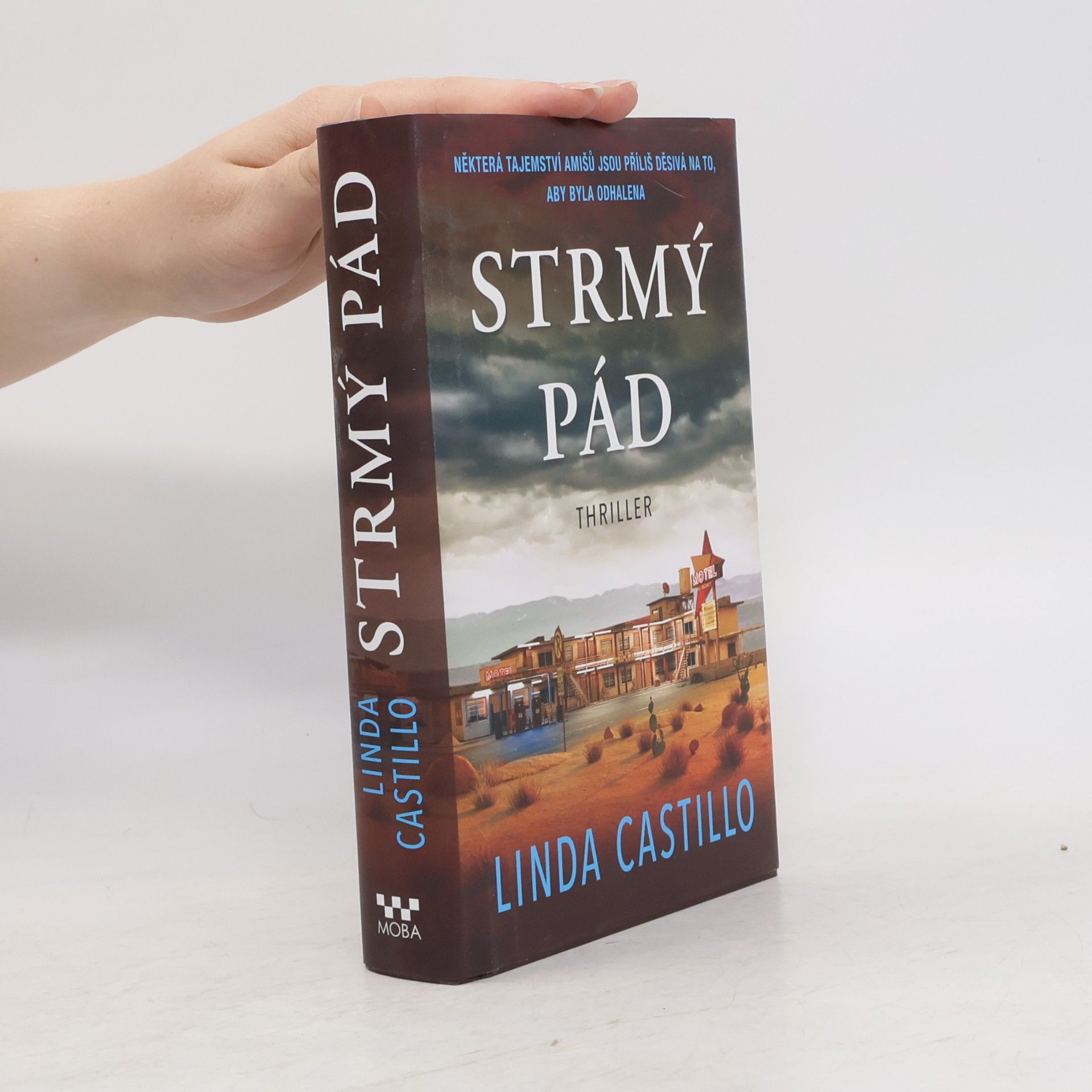 Linda Castillo Strmý pád