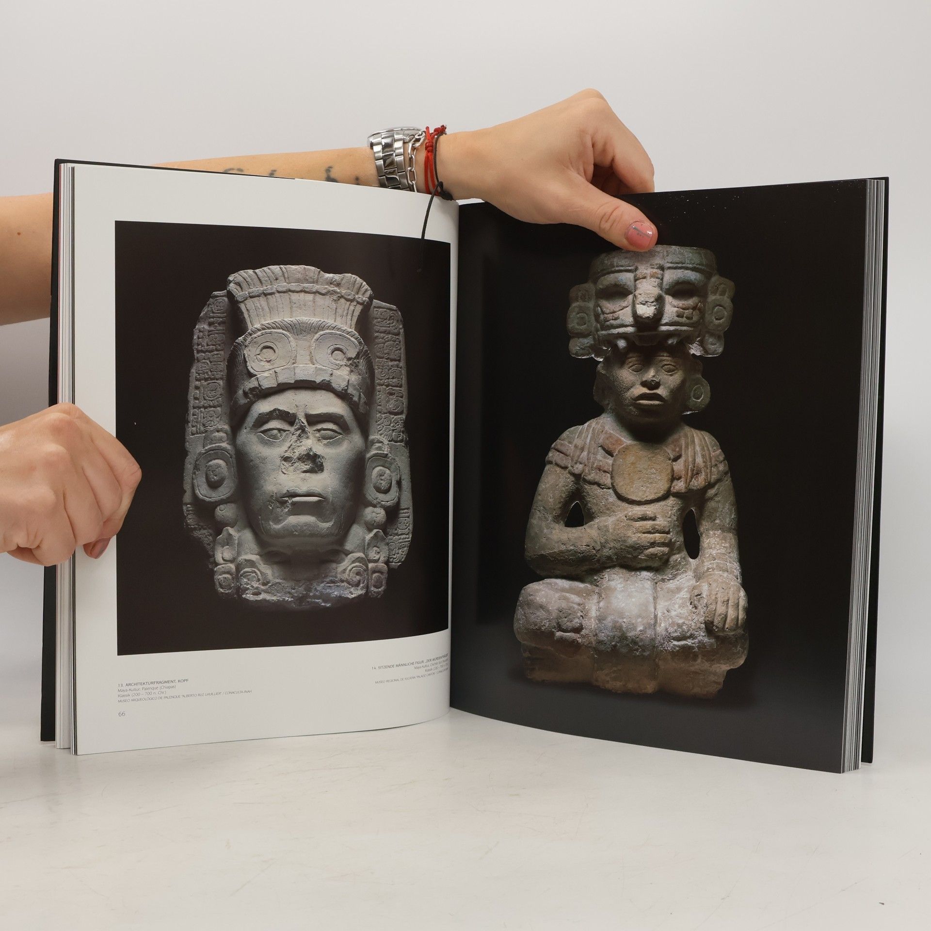 Gerard W. van Bussel Mensch und Kosmos