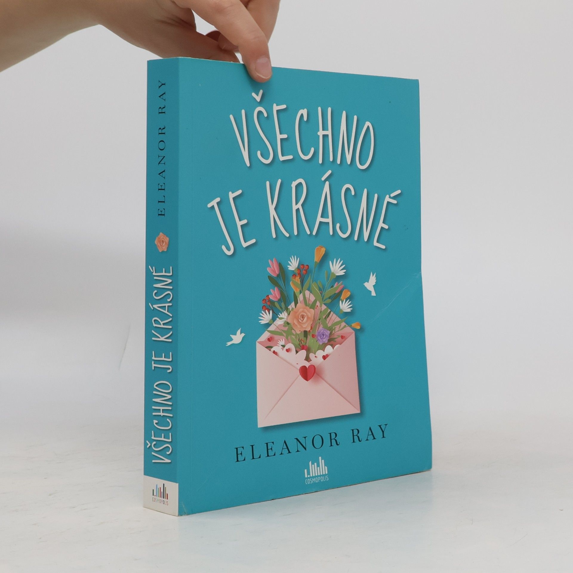 Eleanor Ray Všechno je krásné