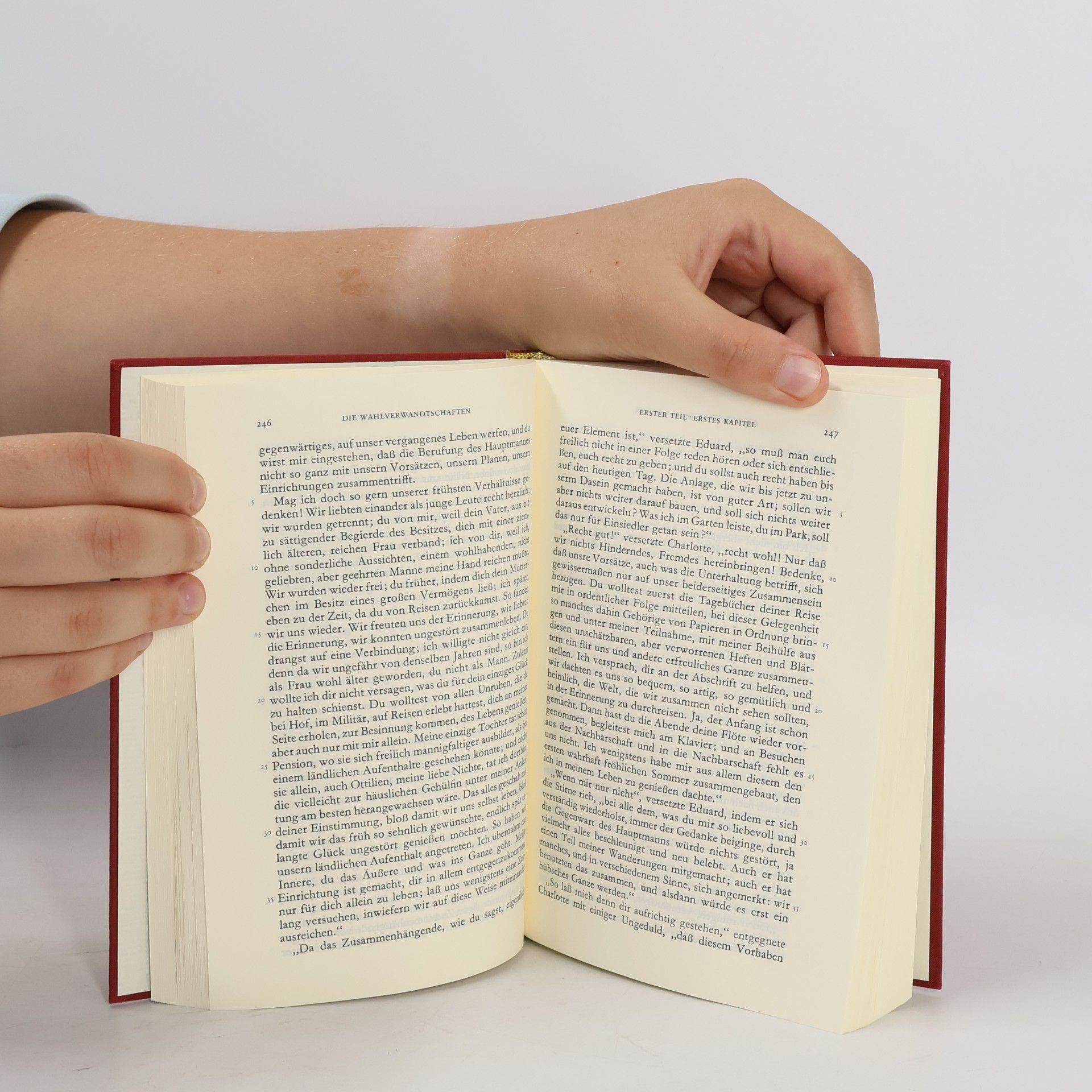 Johann Wolfgang von Goethe Goethe Werke 6
