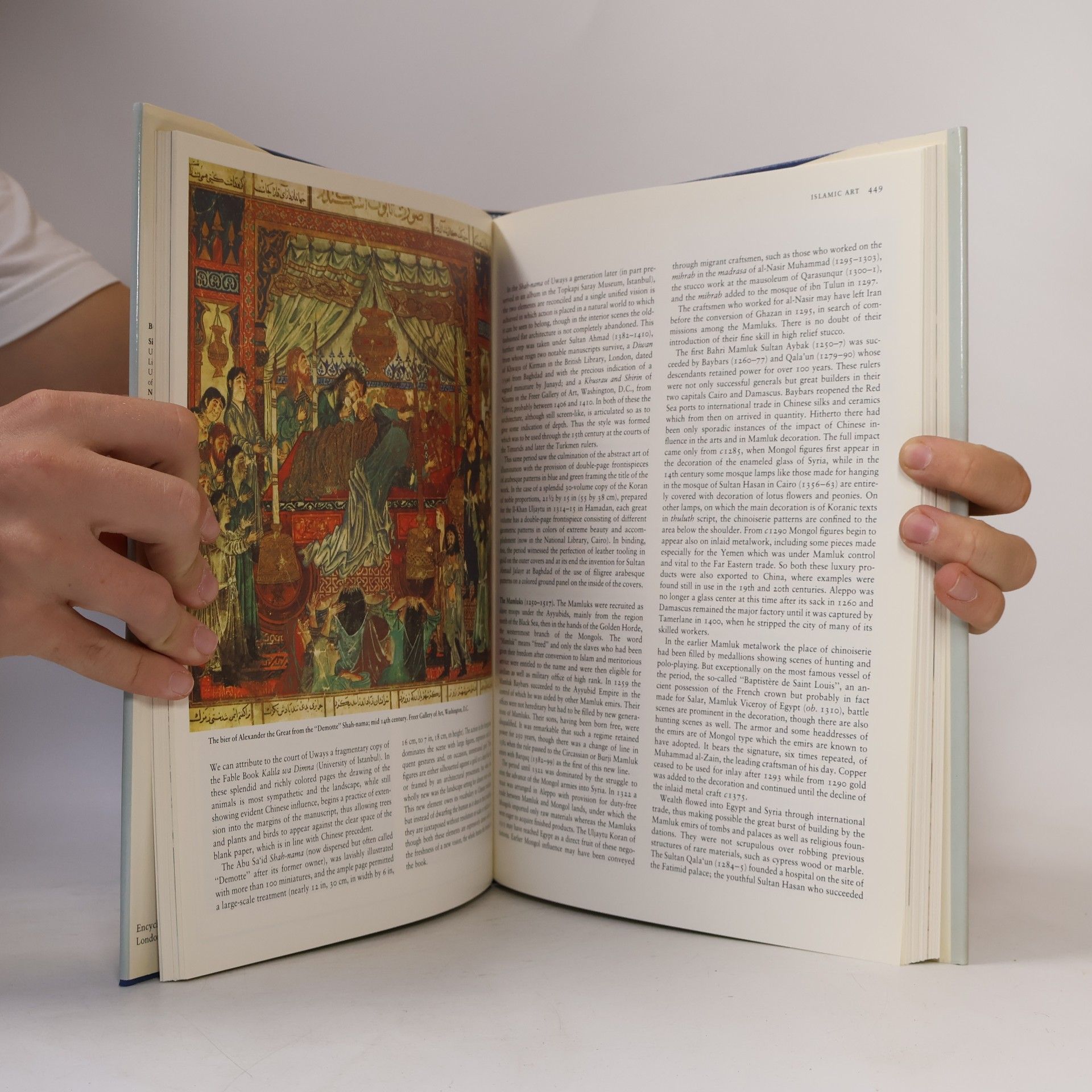 Various authors The Encyclopedia of Visual Art 3