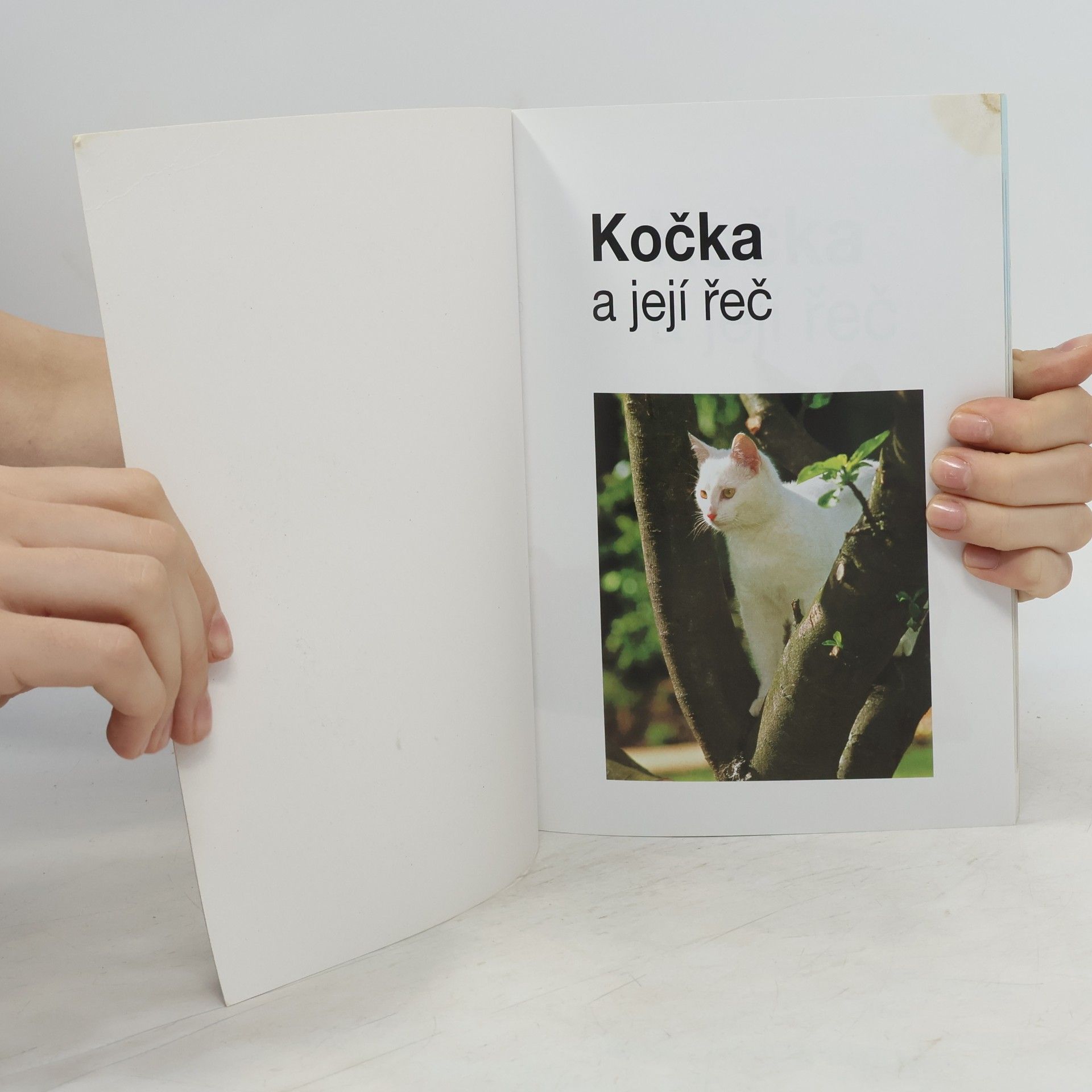 Gwen Bailey Kočka a její řeč