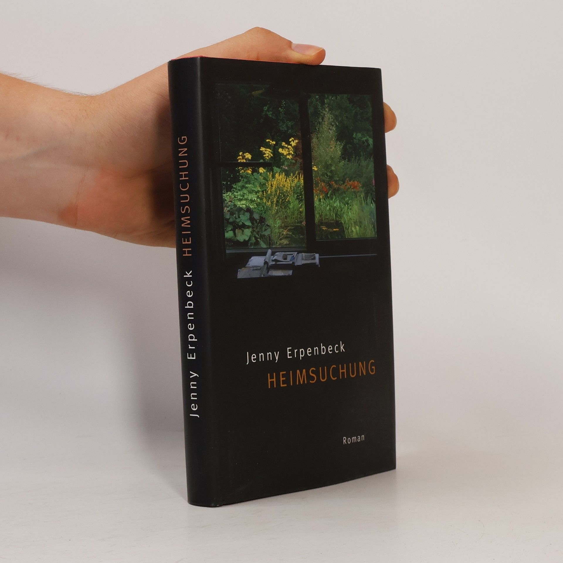 Jenny Erpenbeck Heimsuchung