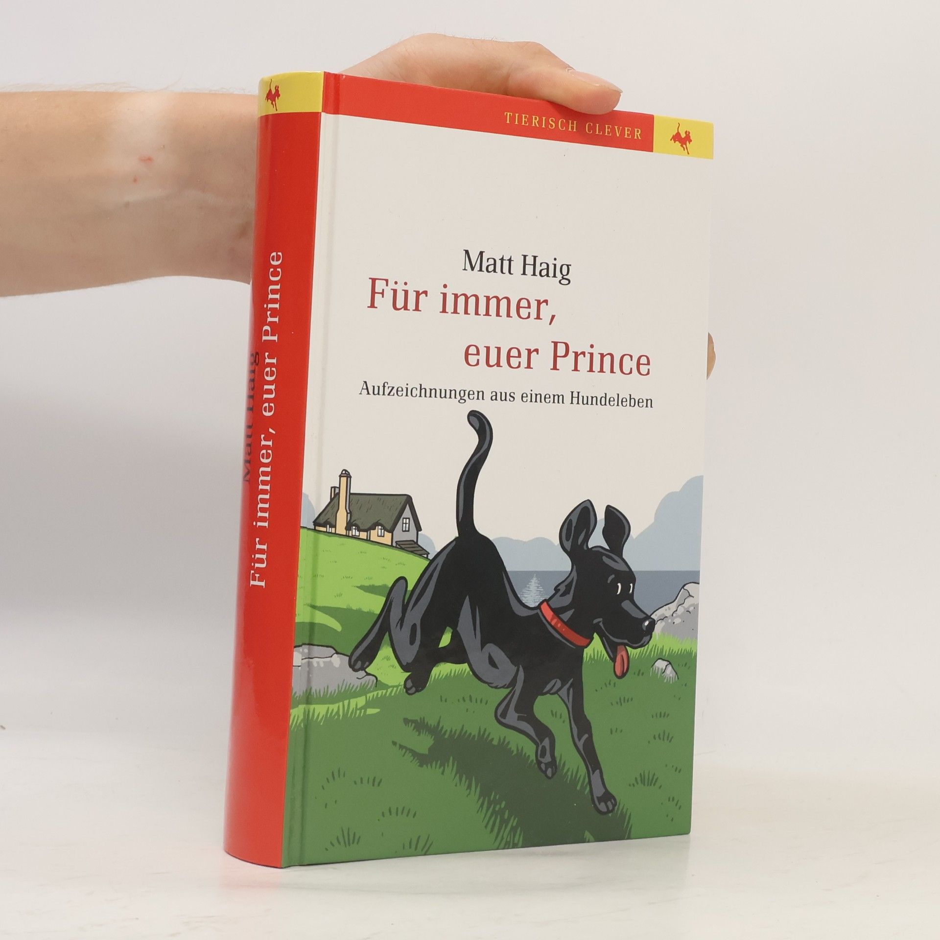 Matt Haig Für immer, euer Prince