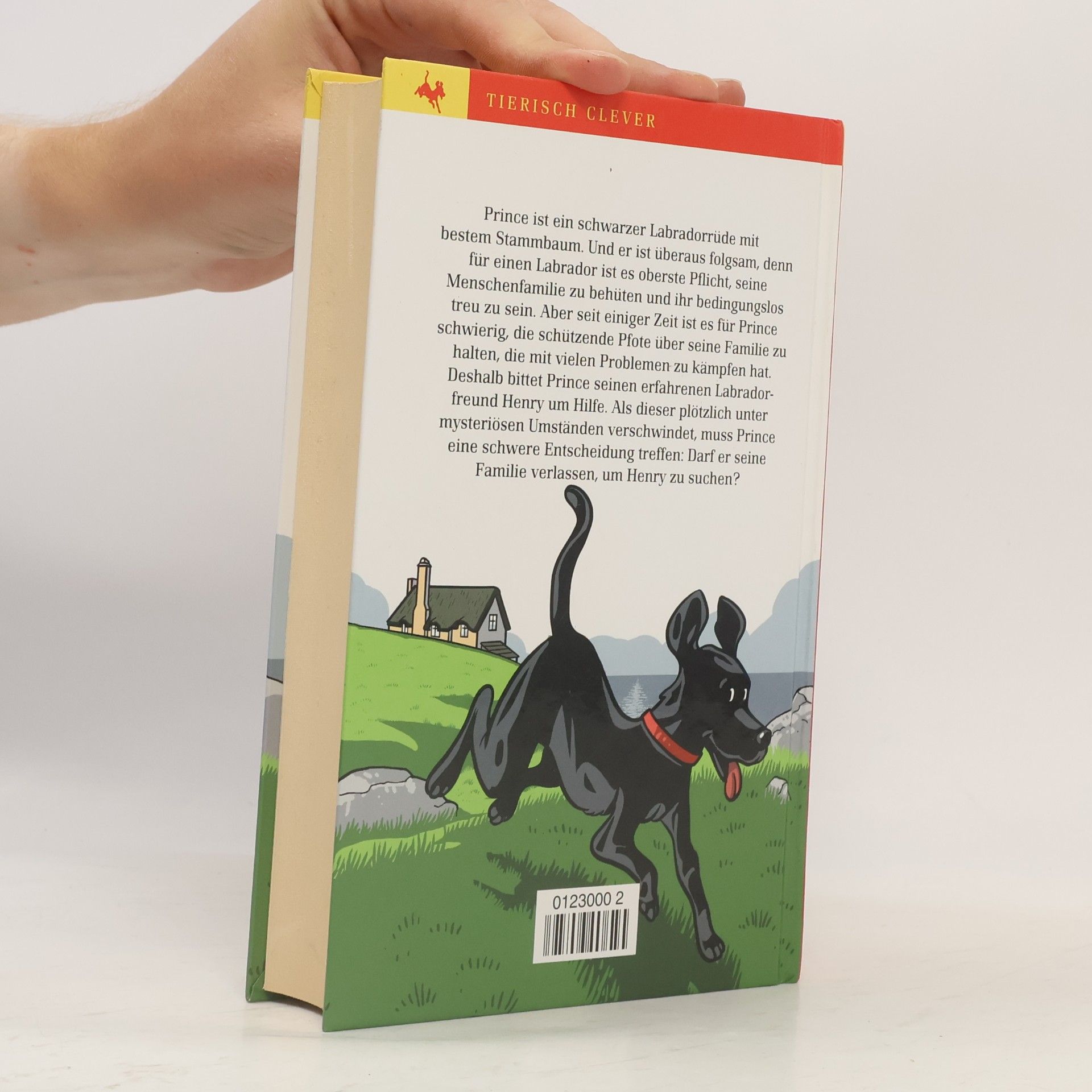 Matt Haig Für immer, euer Prince