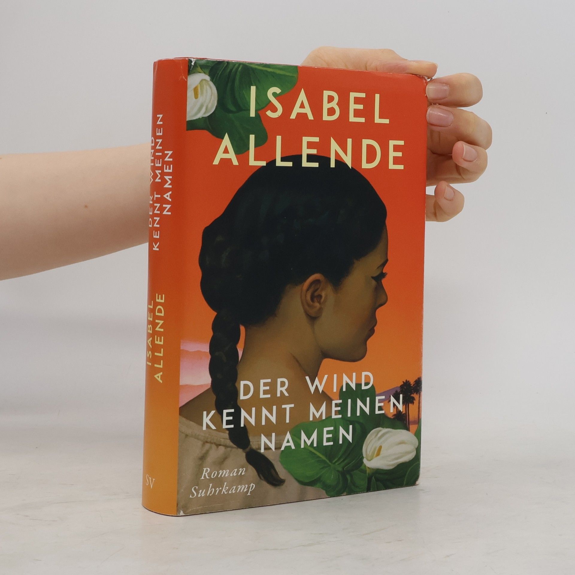 Isabel Allende Llona Der Wind kennt meinen Namen