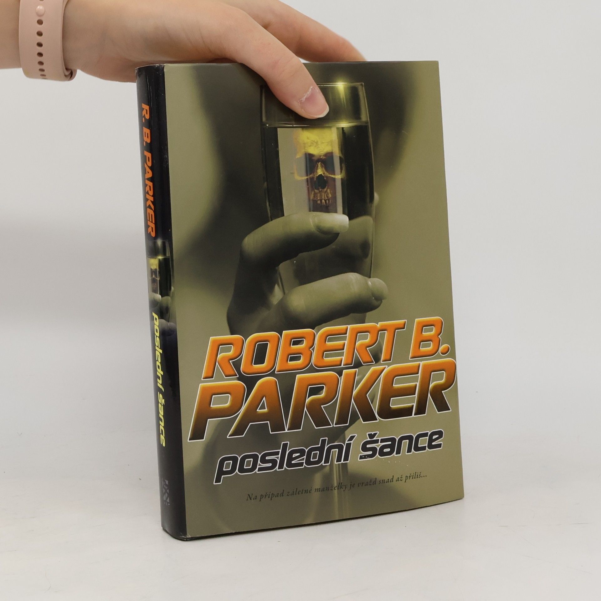 Robert B. Parker Poslední šance