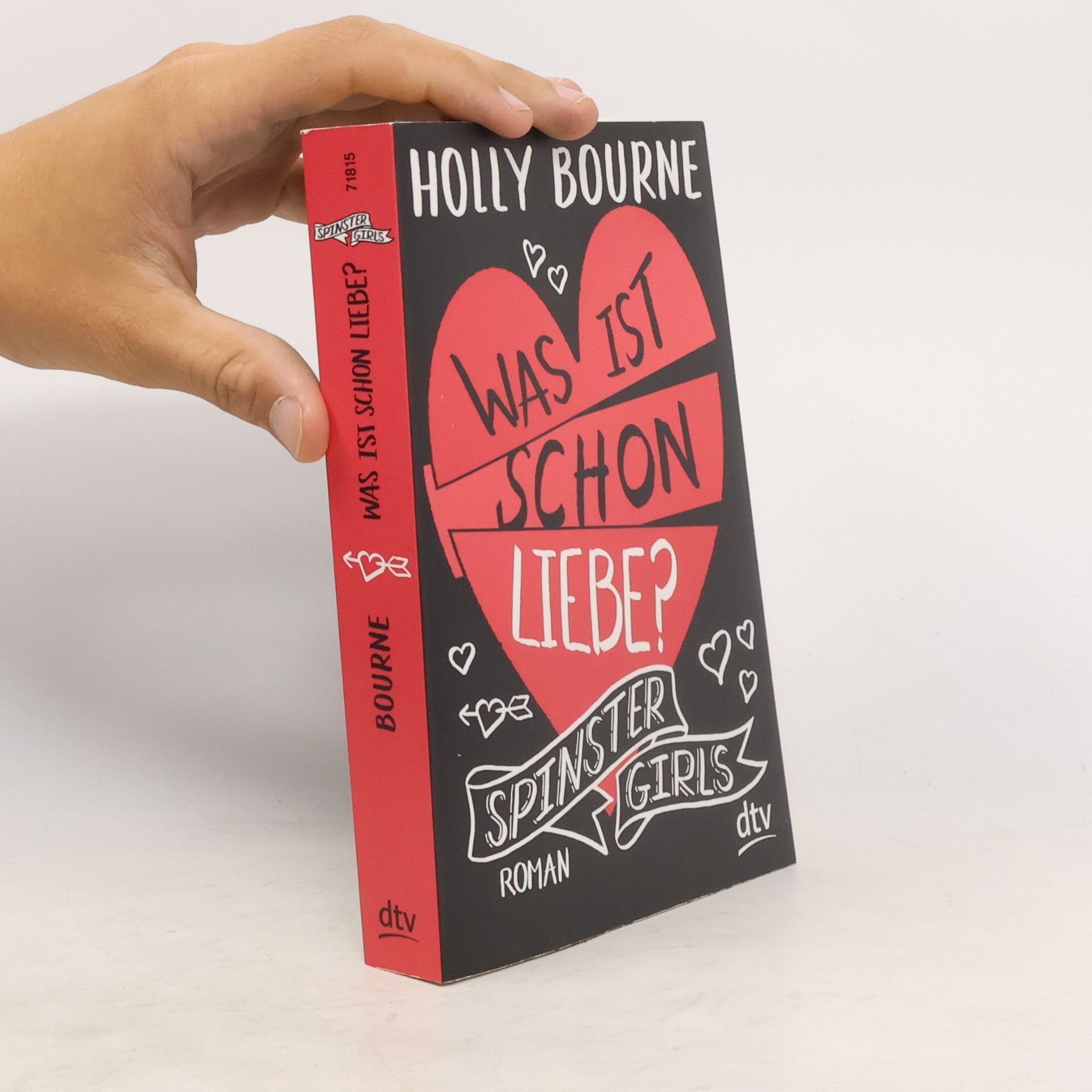 Holly Bourneová Spinster Girls – was ist schon Liebe?