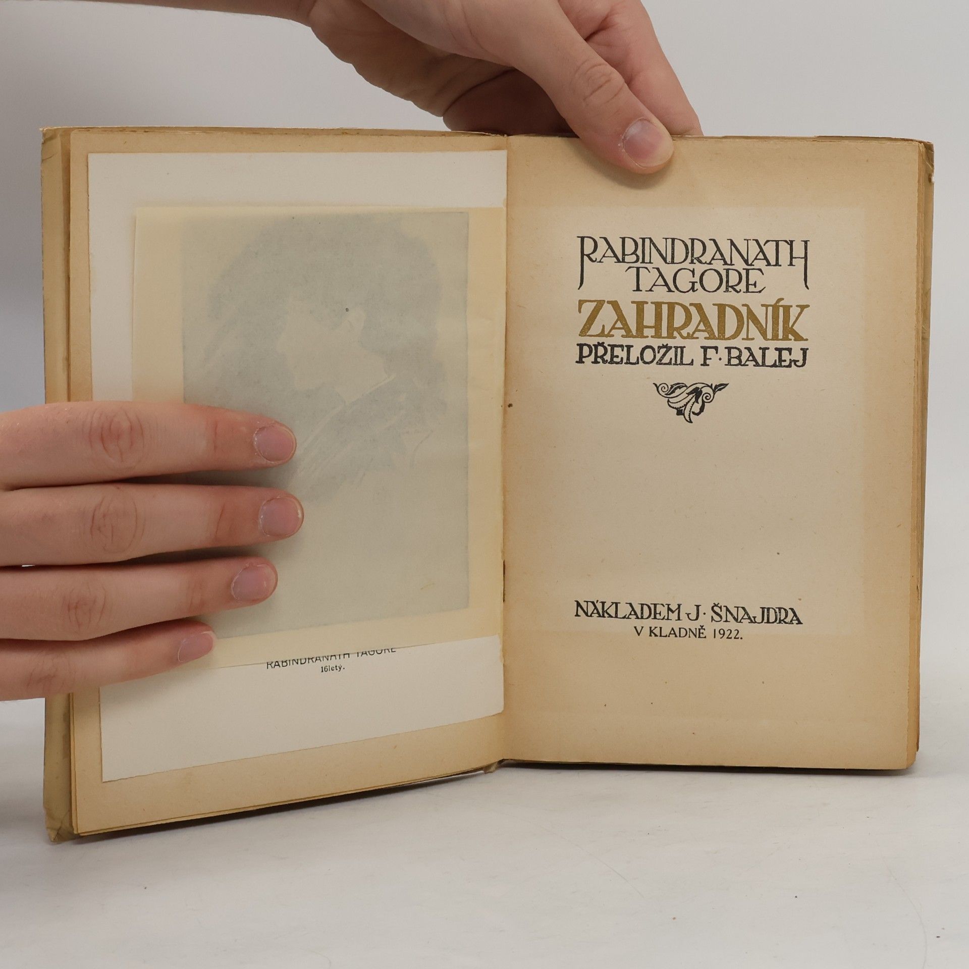 Rabindranath Tagore Zahradník