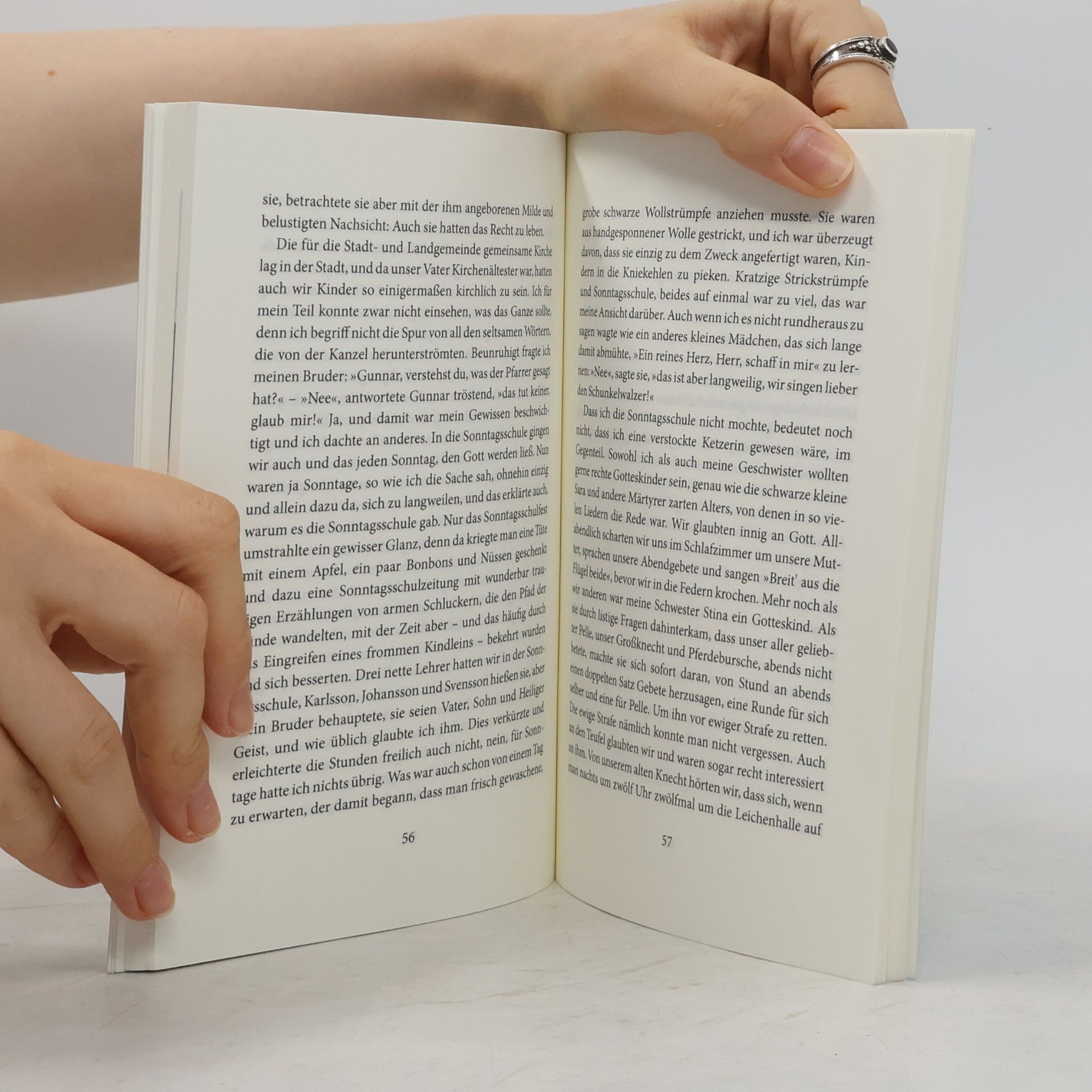Astrid Lindgren Das entschwundene Land