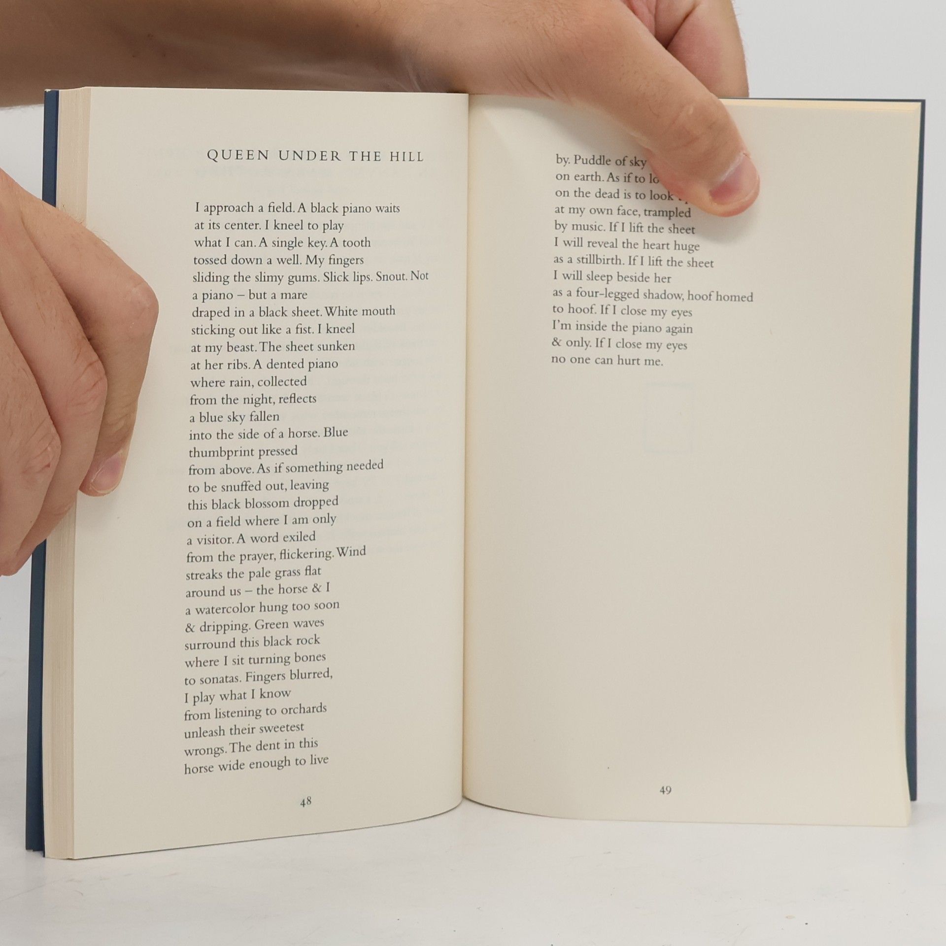 Ocean Vuong Night sky with exit wounds