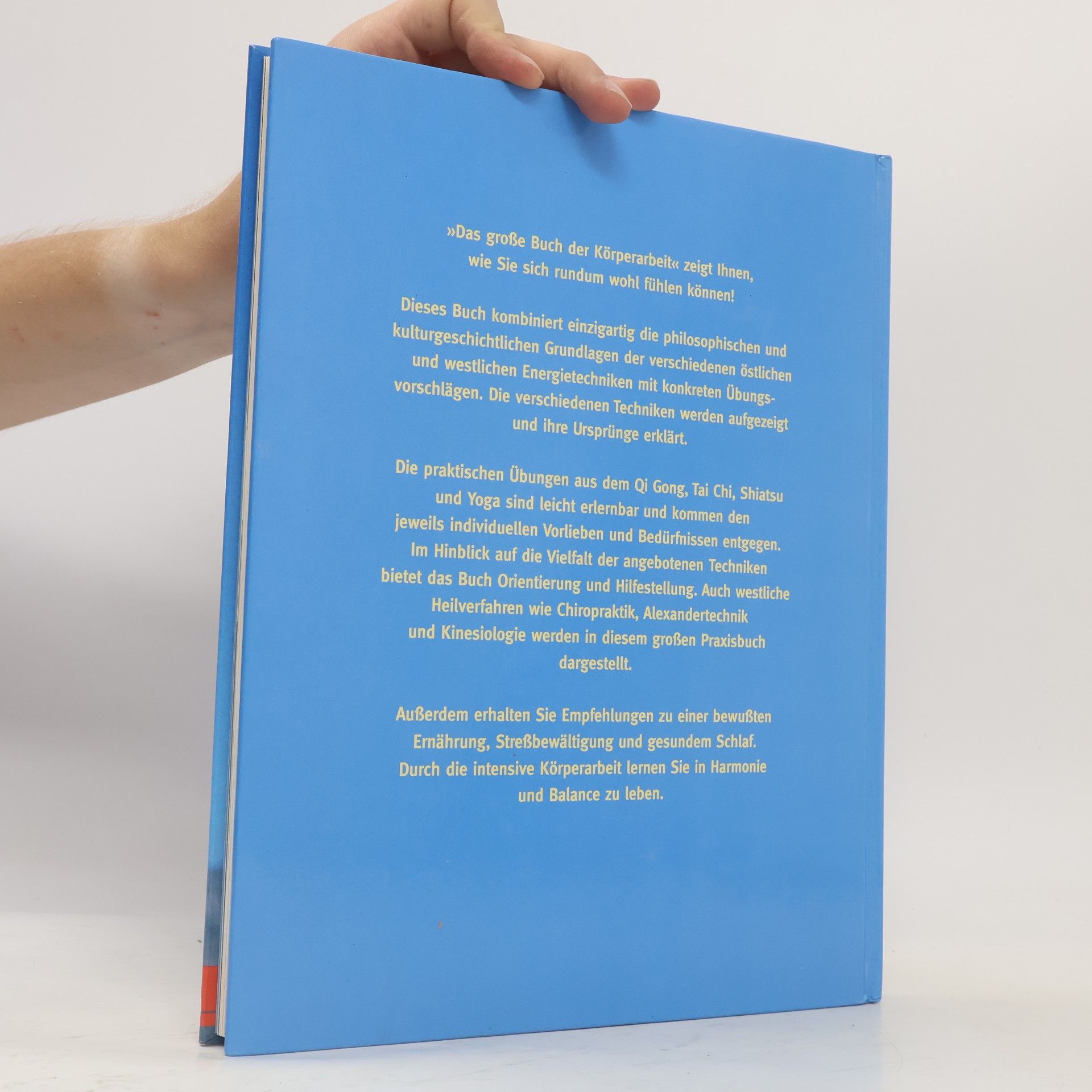 Emma Mitchell Das grosse Buch der Körperarbeit