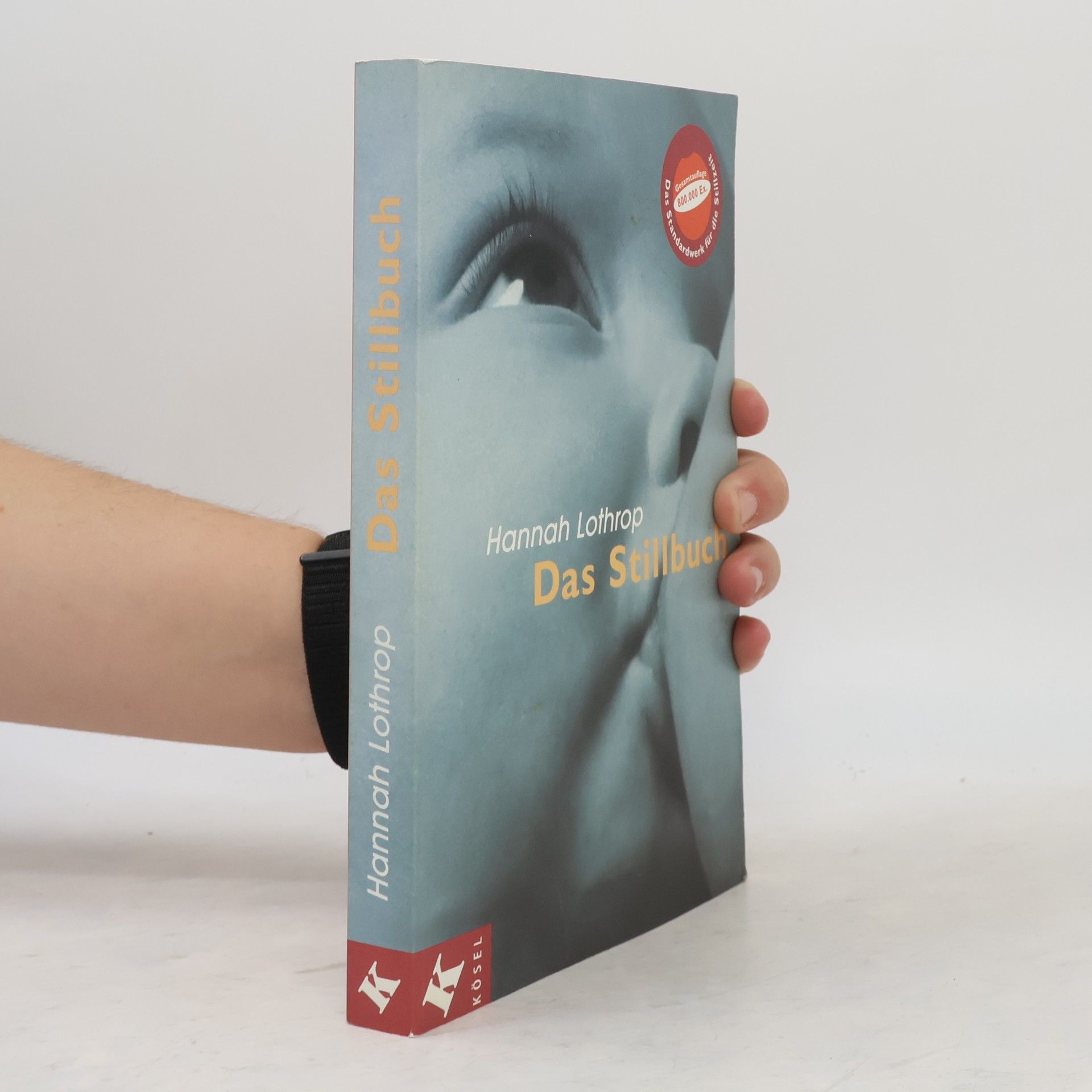 Hanny Lothrop Das Stillbuch