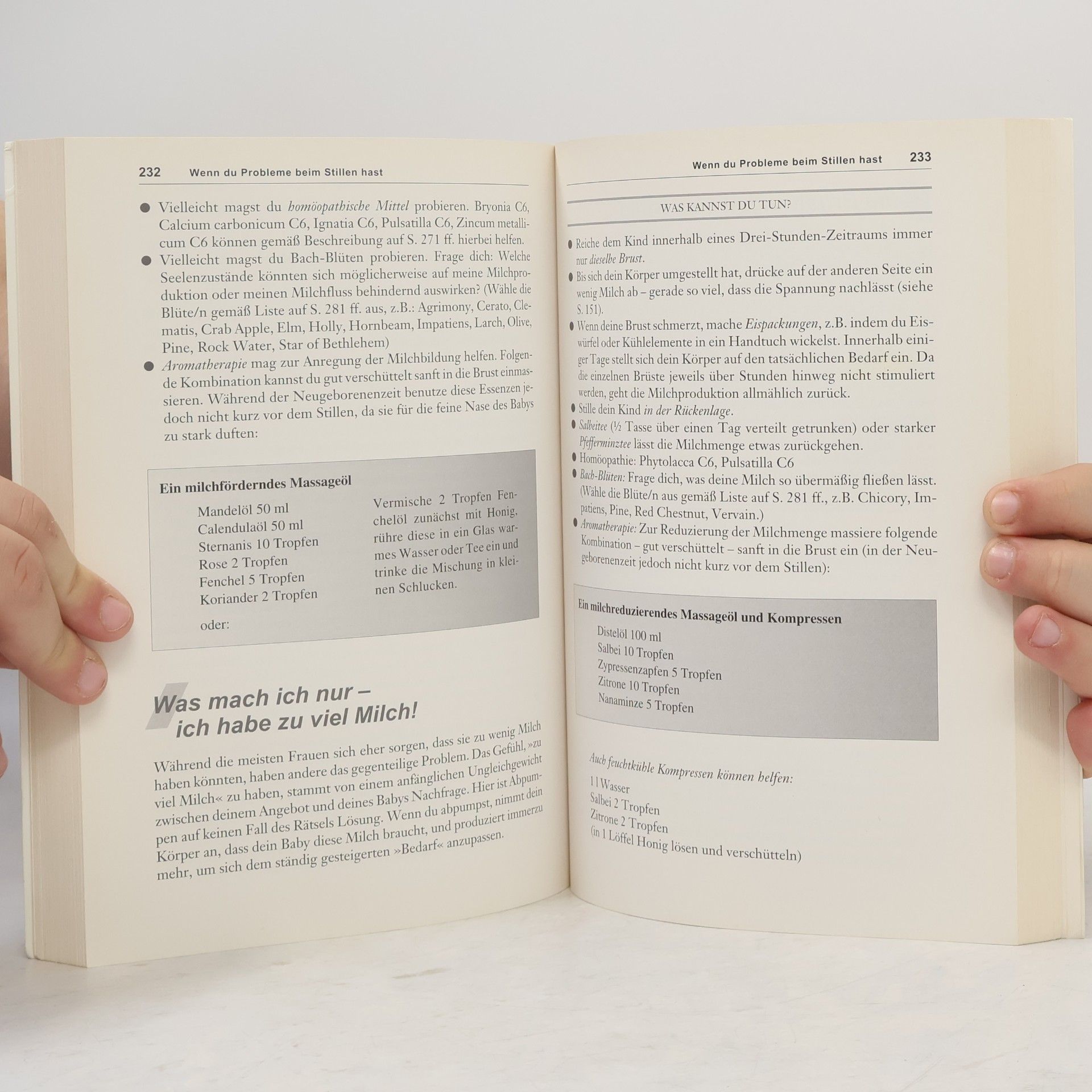 Hanny Lothrop Das Stillbuch