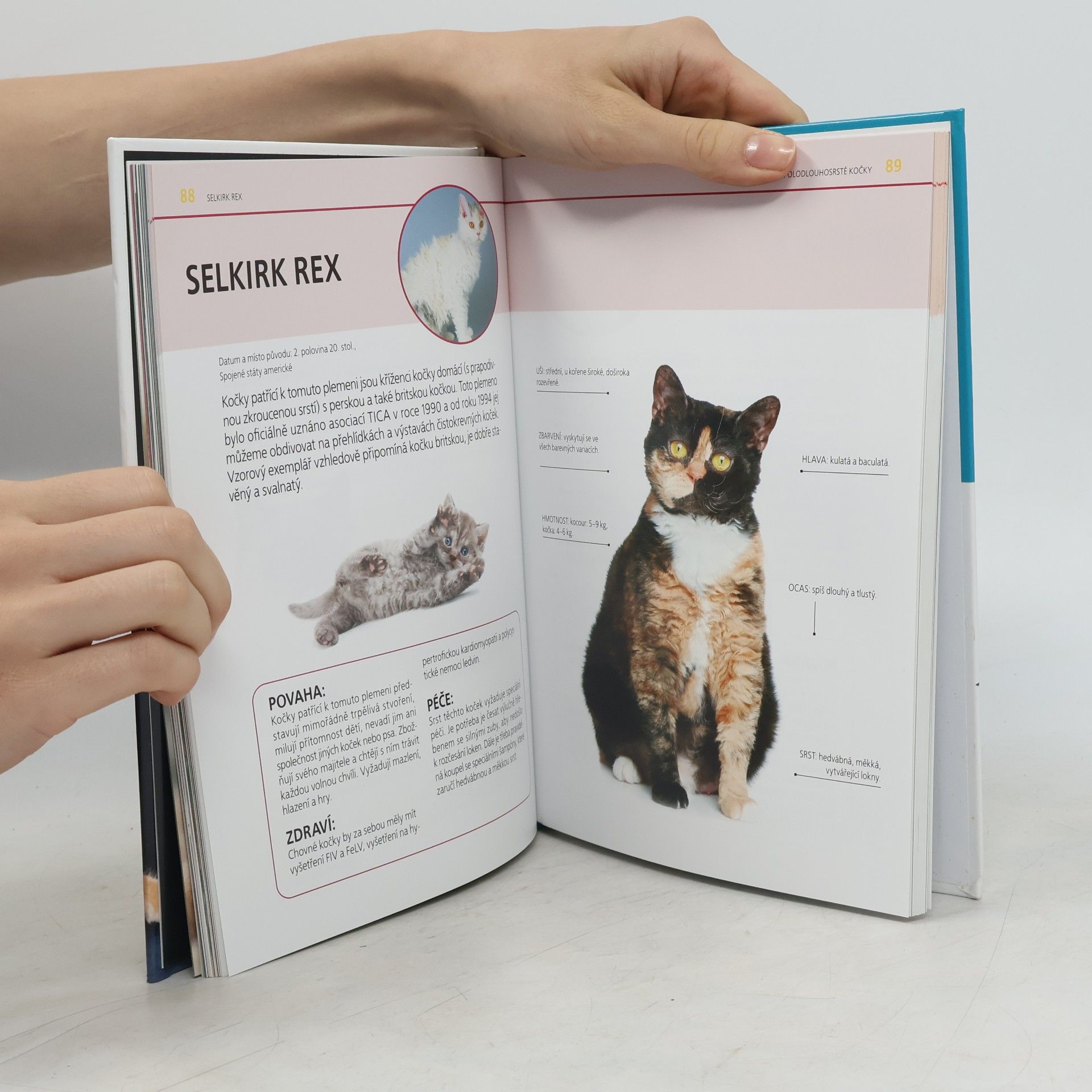Kolektiv autorů Atlas koček : výběr, péče, plemena