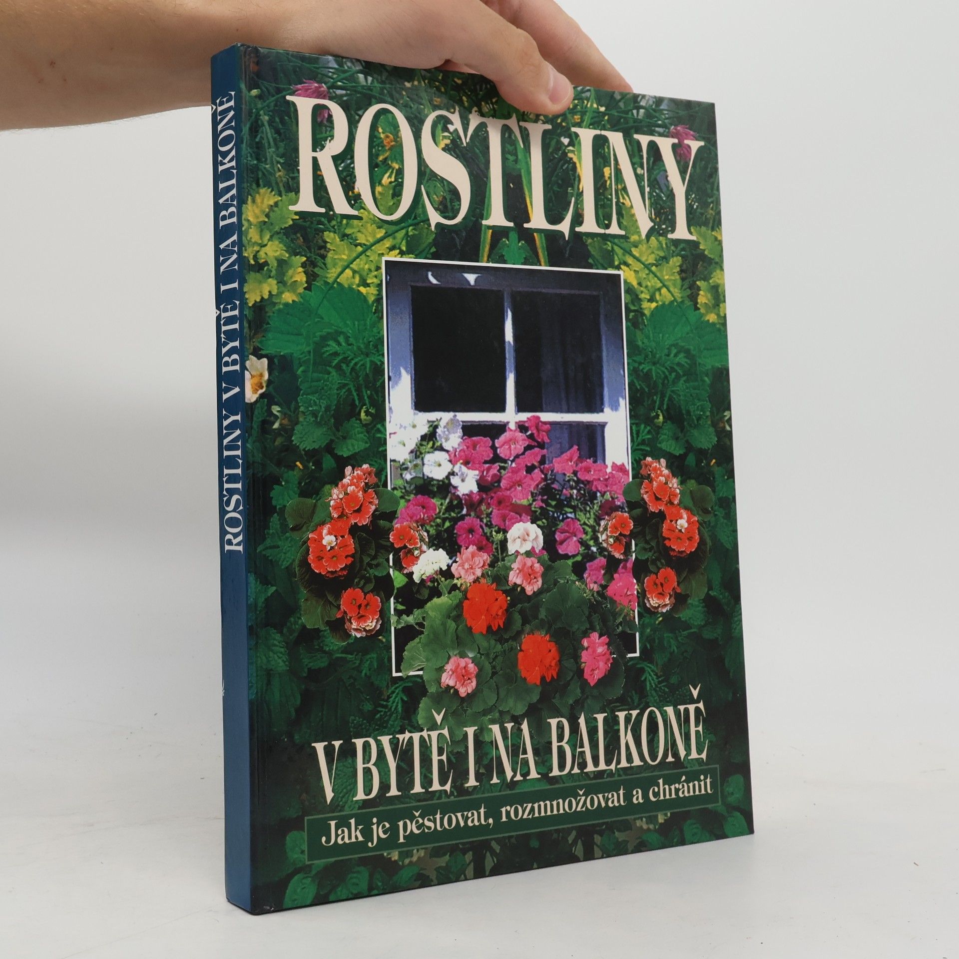 Autorenkollektiv Rostliny v bytě i na balkoně