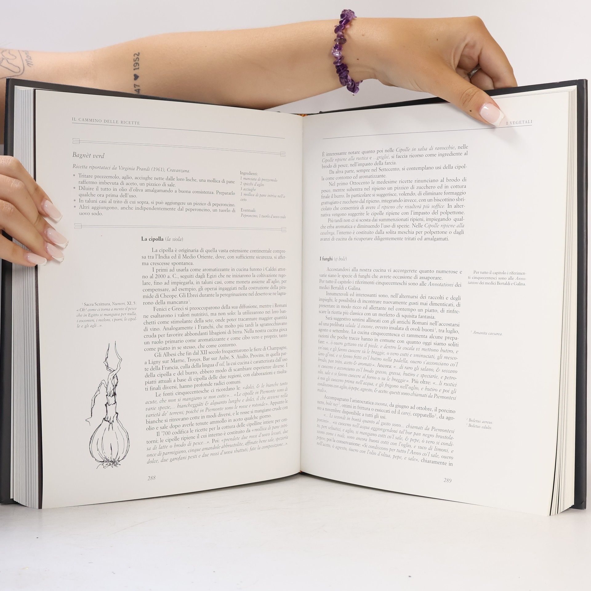 Kolektiv autorů Il Grande Libro della Cucina Albese