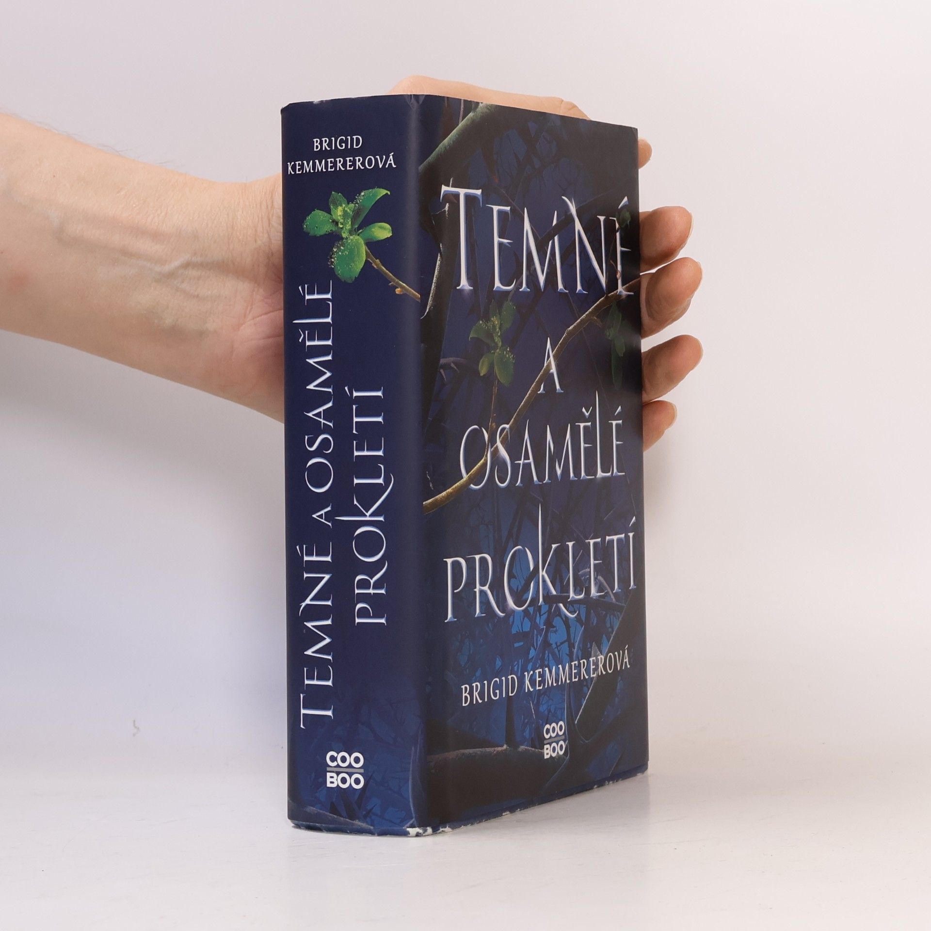 Brigid Kemmerer Temné a osamělé prokletí
