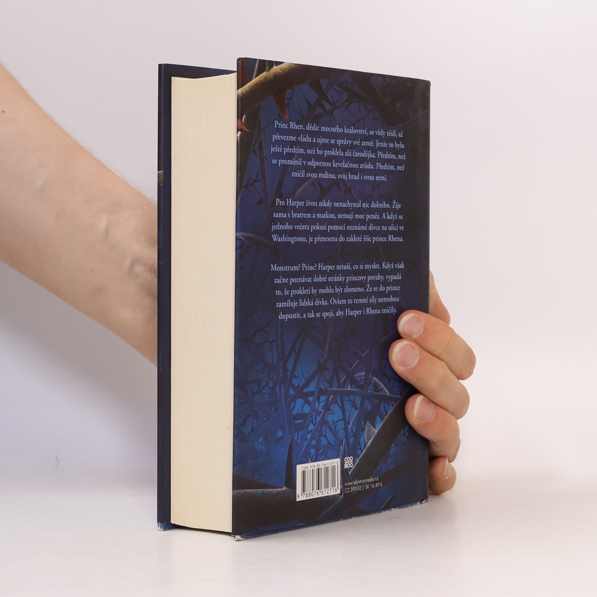 Brigid Kemmerer Temné a osamělé prokletí
