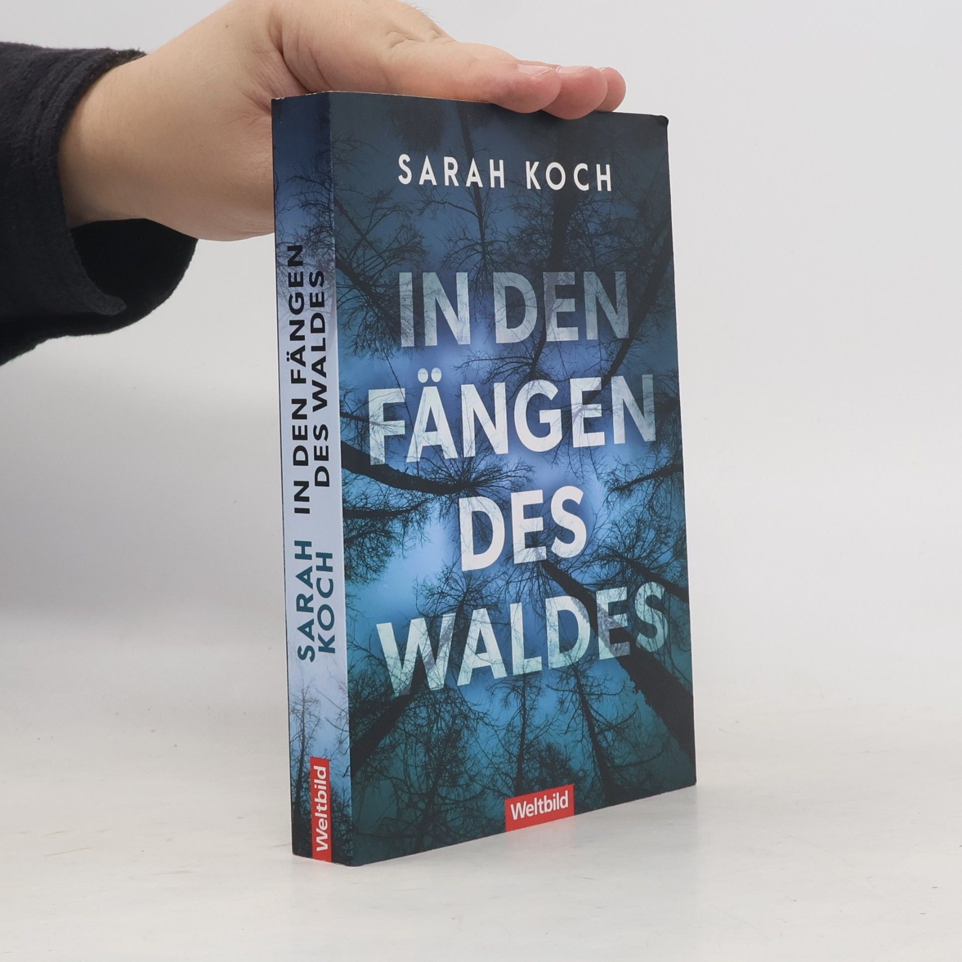Sarah Koch In den Fängen des Waldes