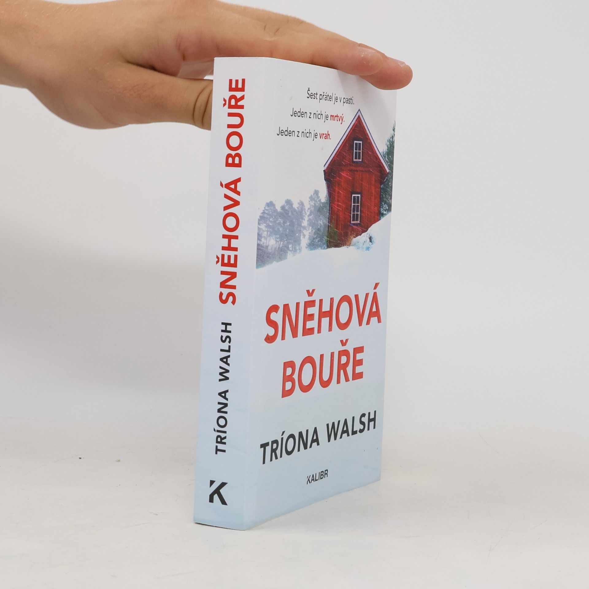 Tríona Walsh Sněhová bouře