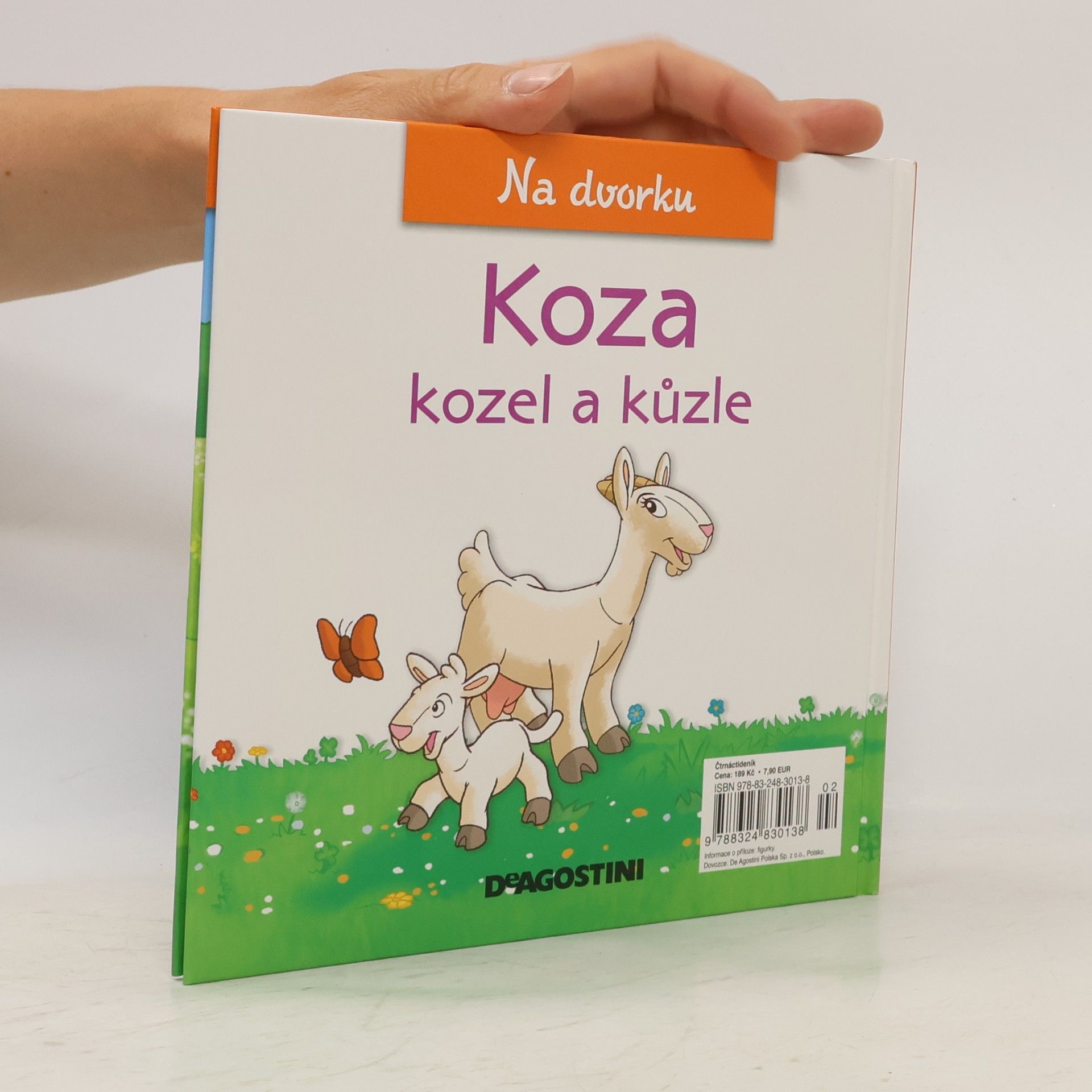 Autorenkollektiv Na dvorku 50. Koza