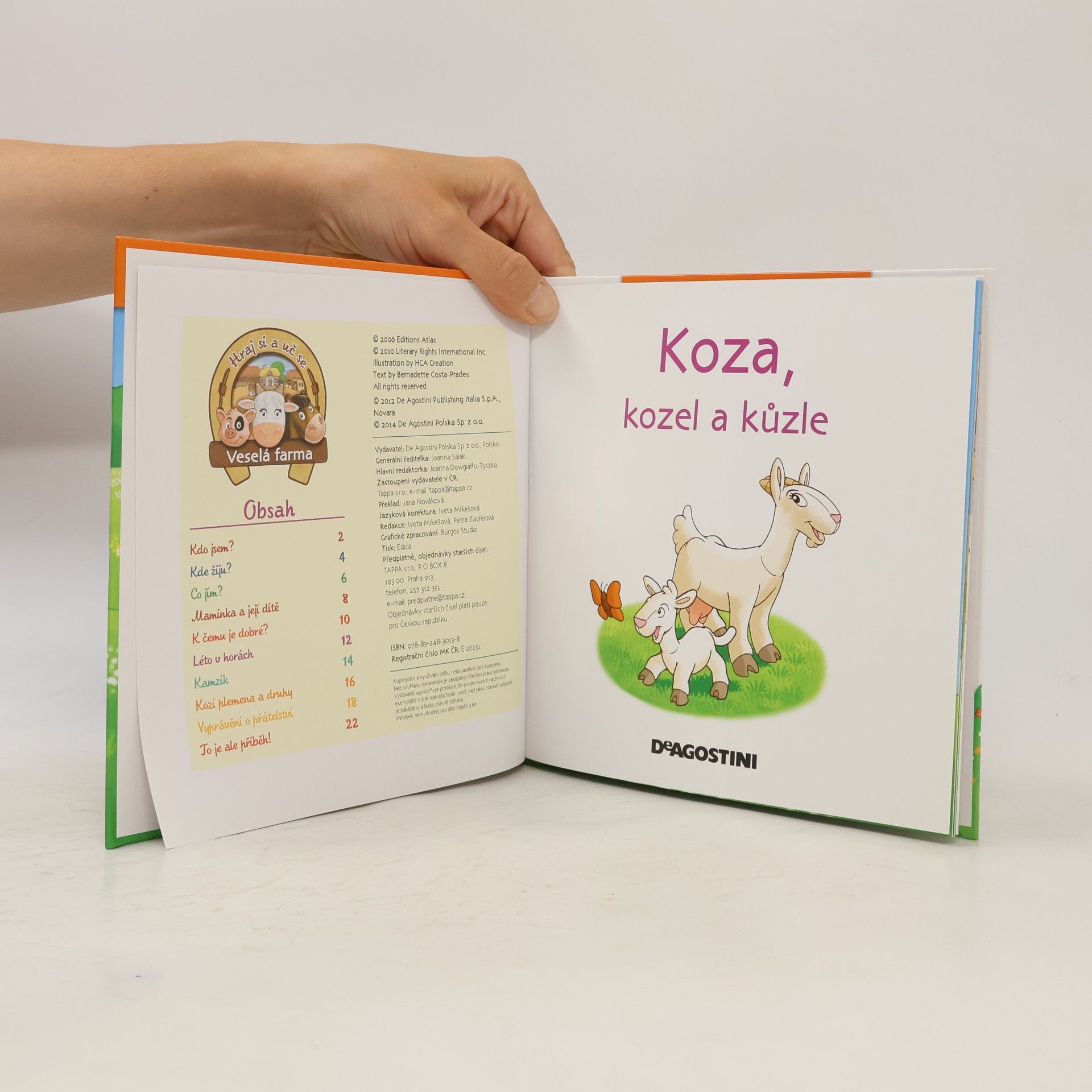 Autorenkollektiv Na dvorku 50. Koza
