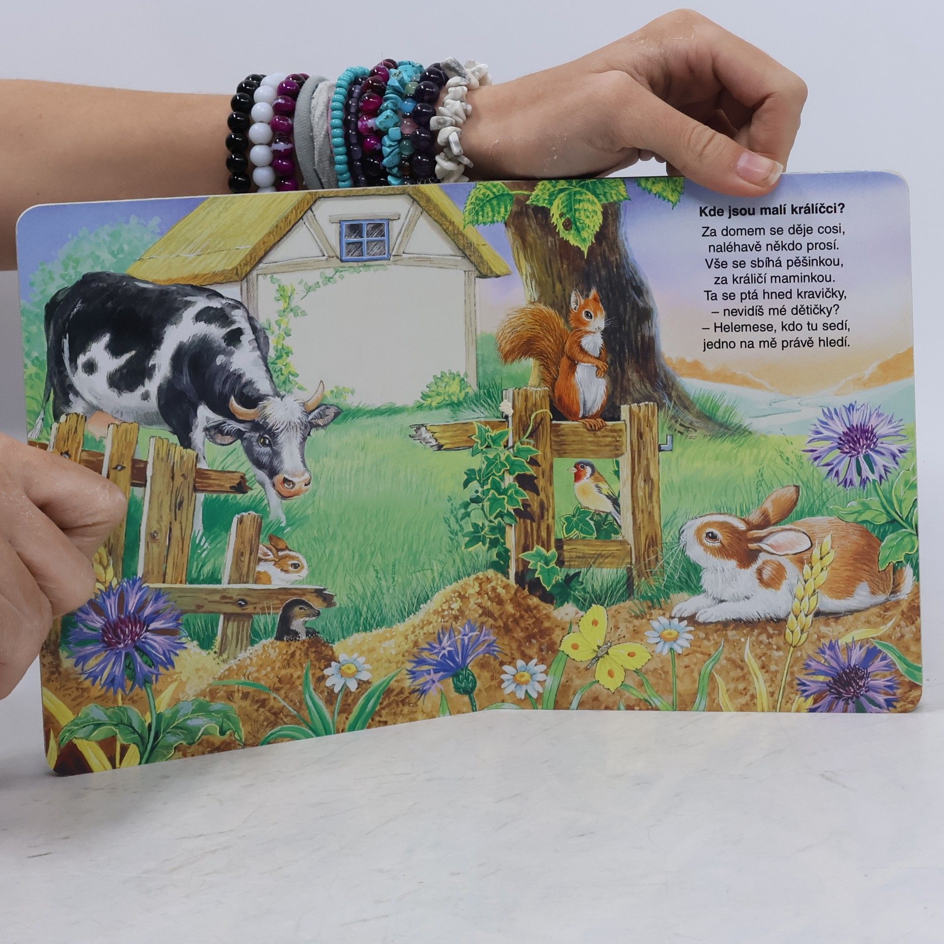 Ray Cresswell Kam se schovala zvířátka?