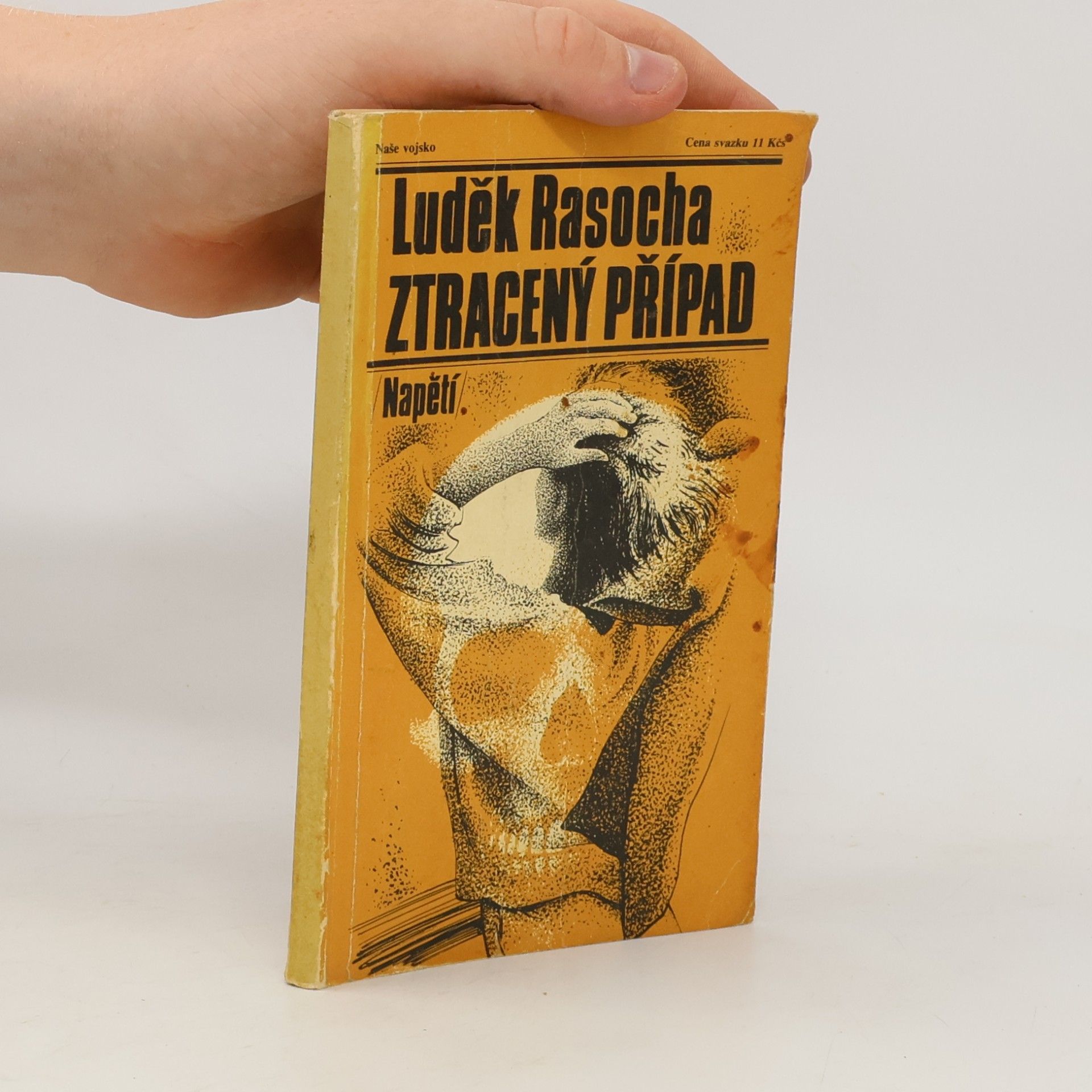 Luděk Rasocha Ztracený případ