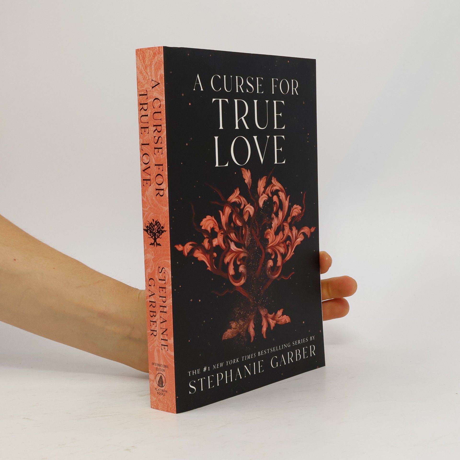 Stephanie Garberová A Curse for True Love
