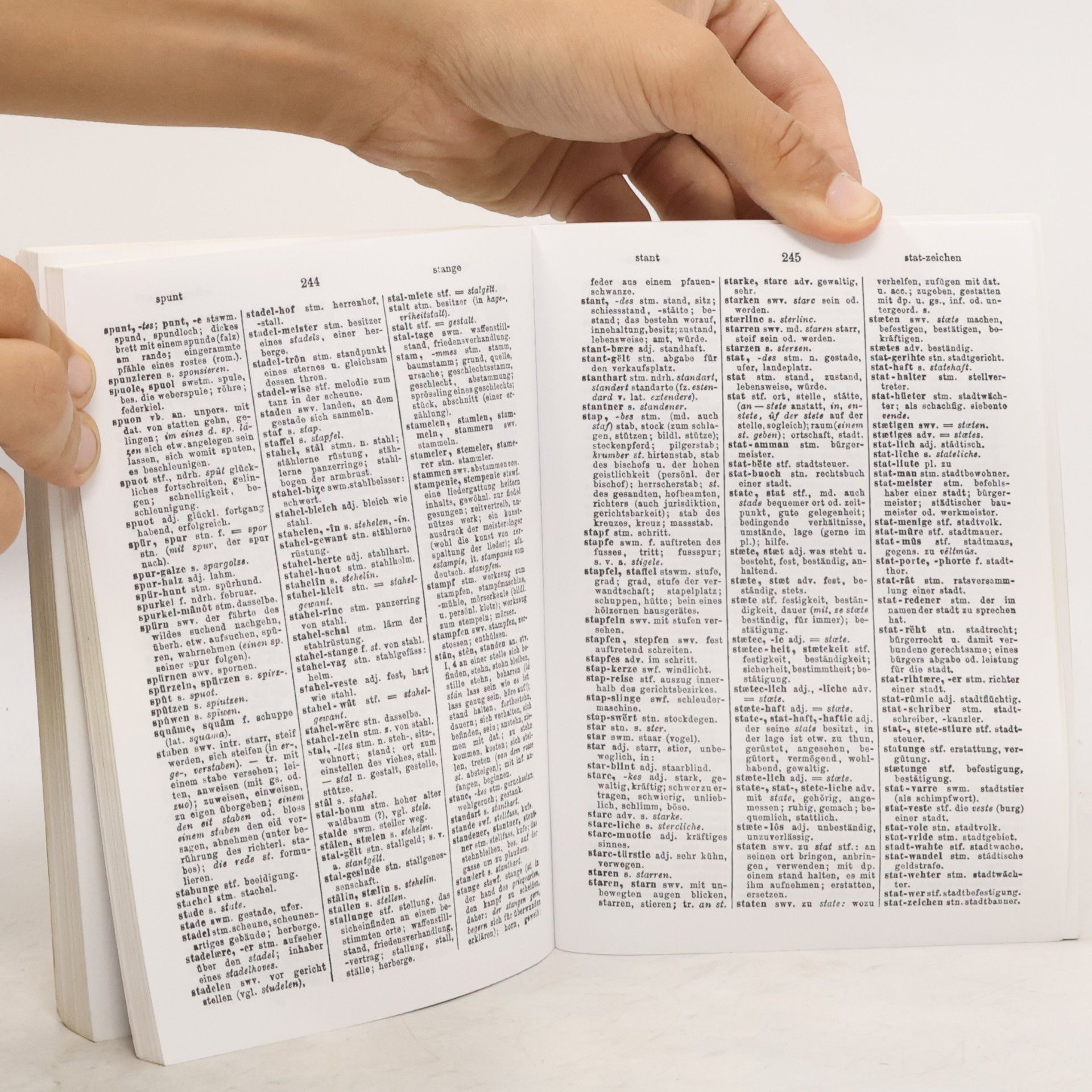 Matthias von Lexer Mittelhochdeutsches Taschenwörterbuch