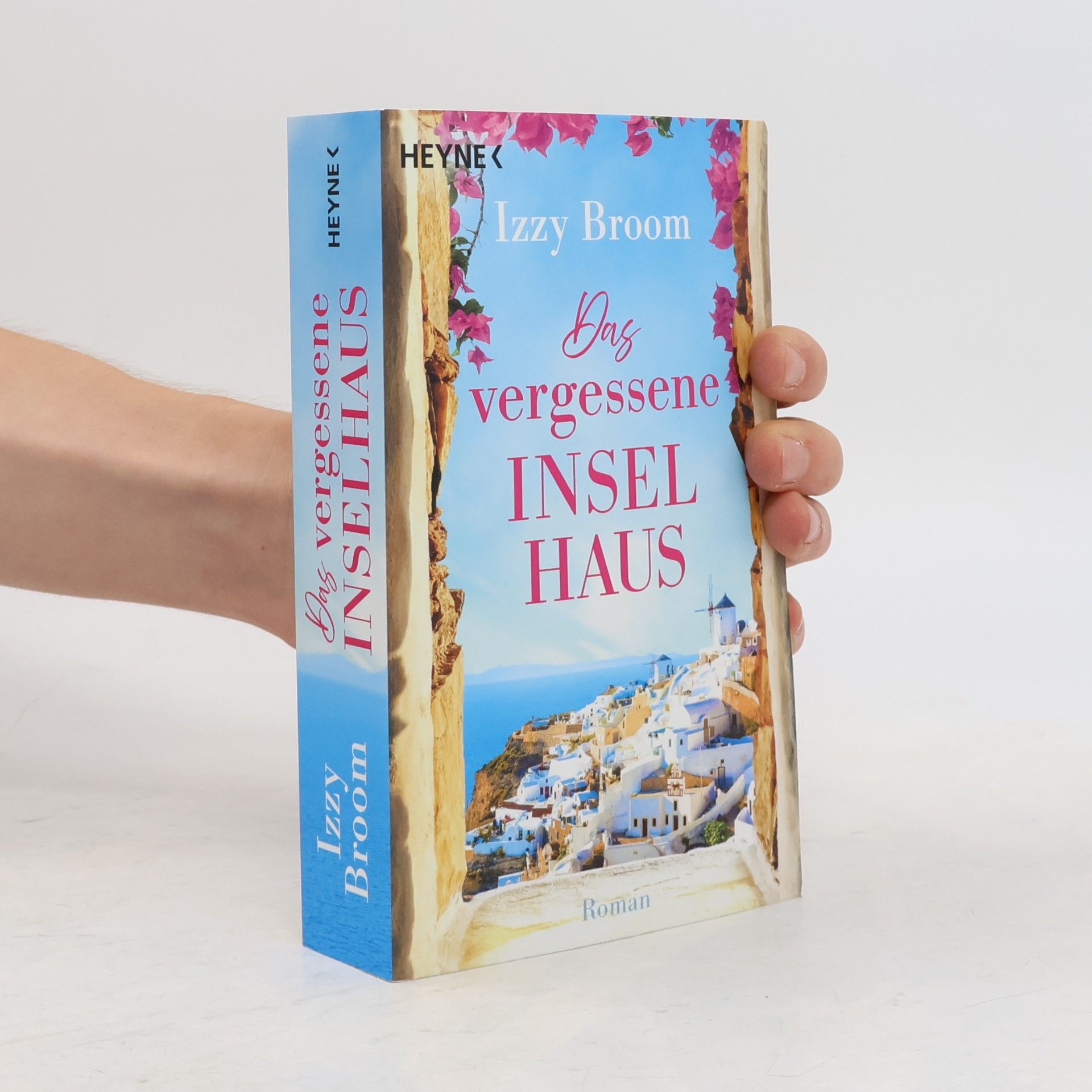 Broom, Izzy Das vergessene Inselhaus: Roman