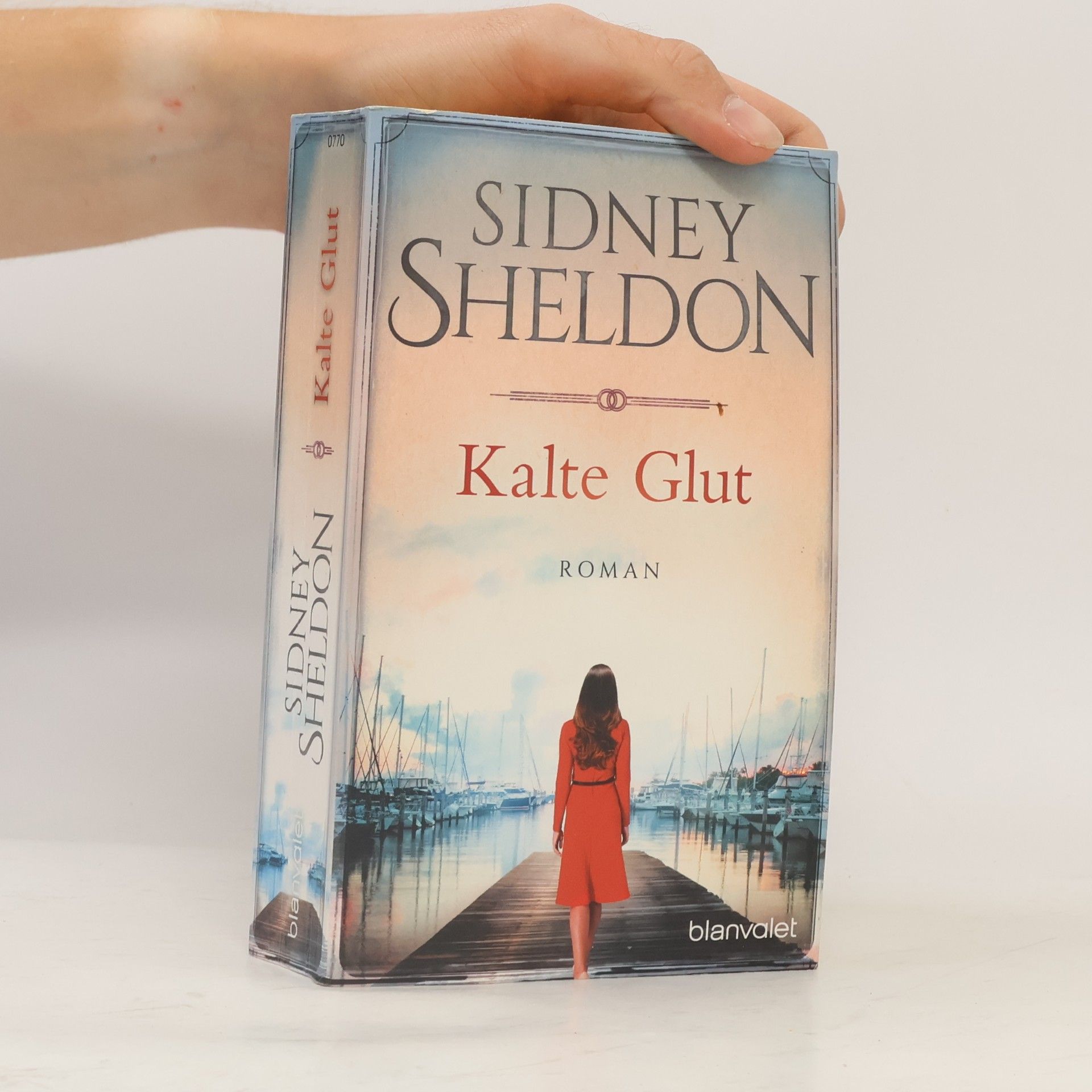 Sidney Sheldon Kalte Glut