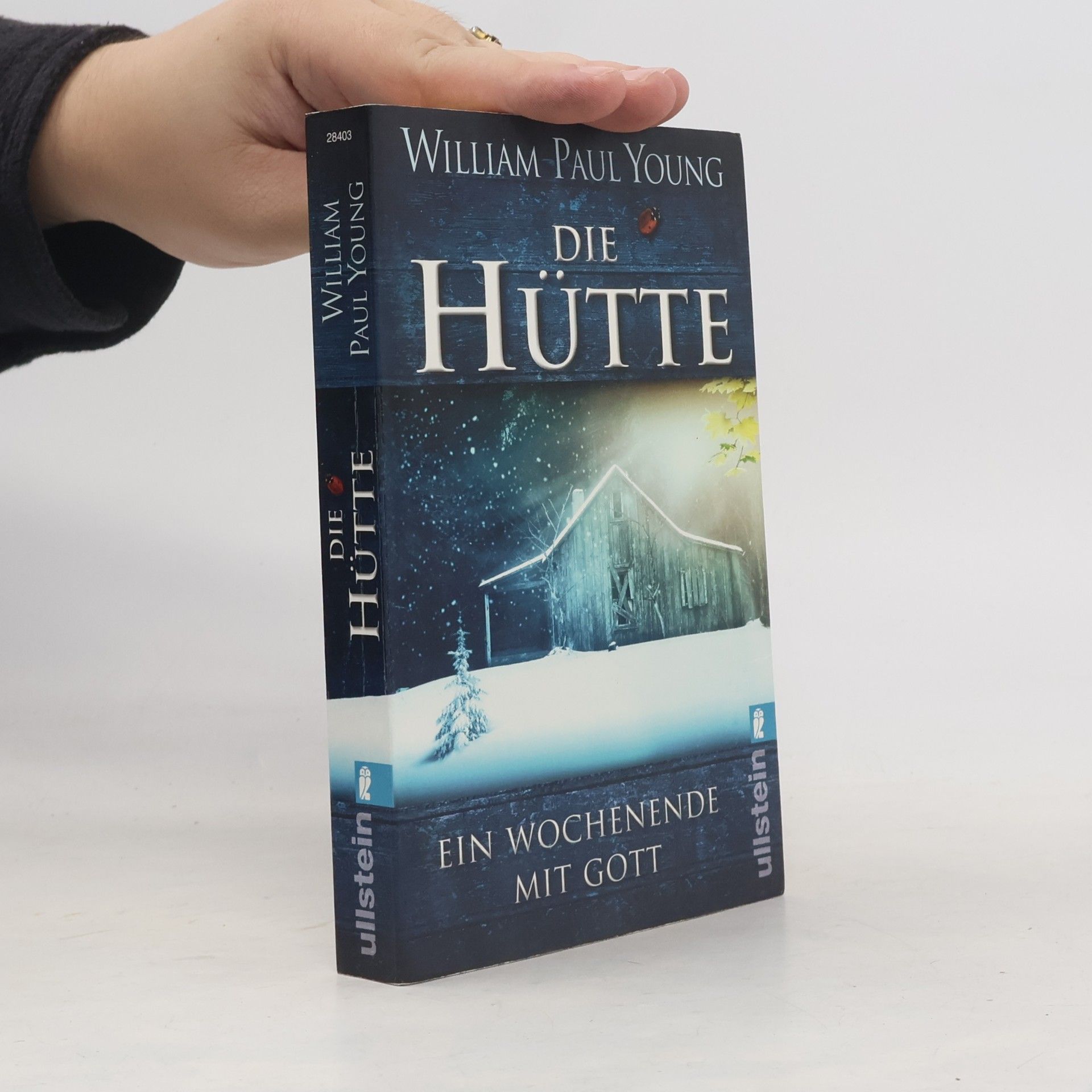 William P. Young Die Hütte