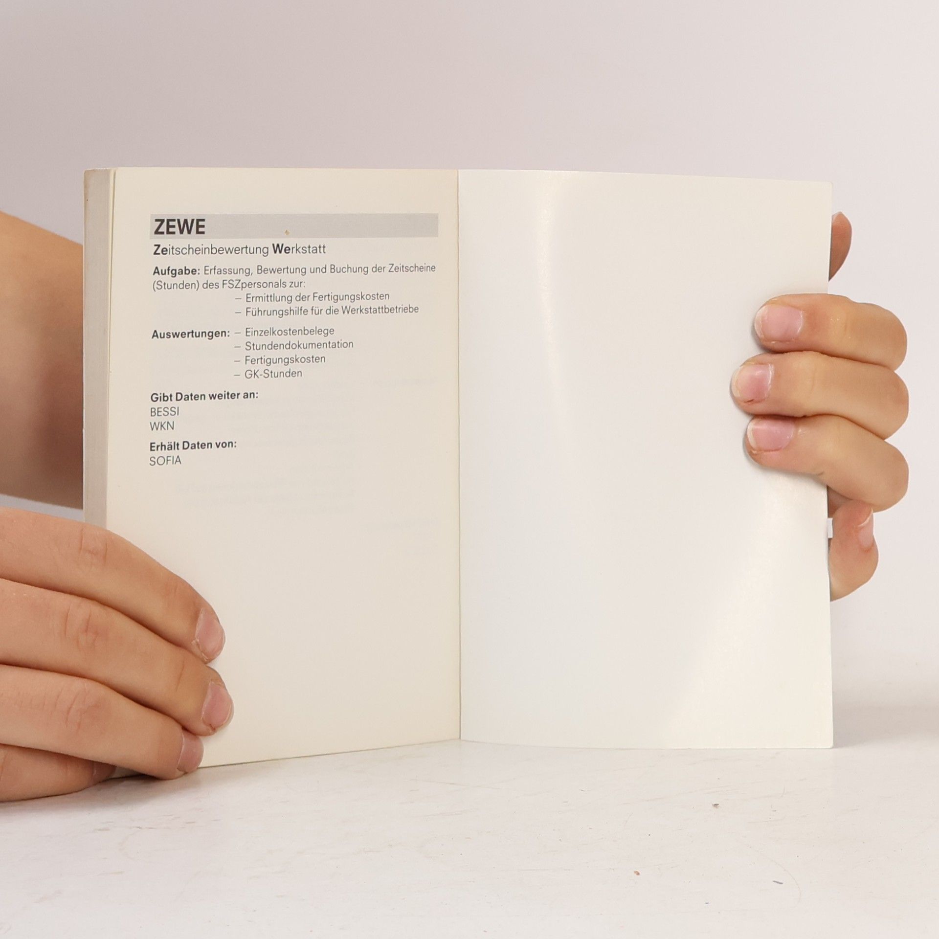 Autorenkollektiv Organisation und Datenverarbeitung in den Zweigniederlassungen; Übersicht und Kurzbeschreibung der DV-Verfahren