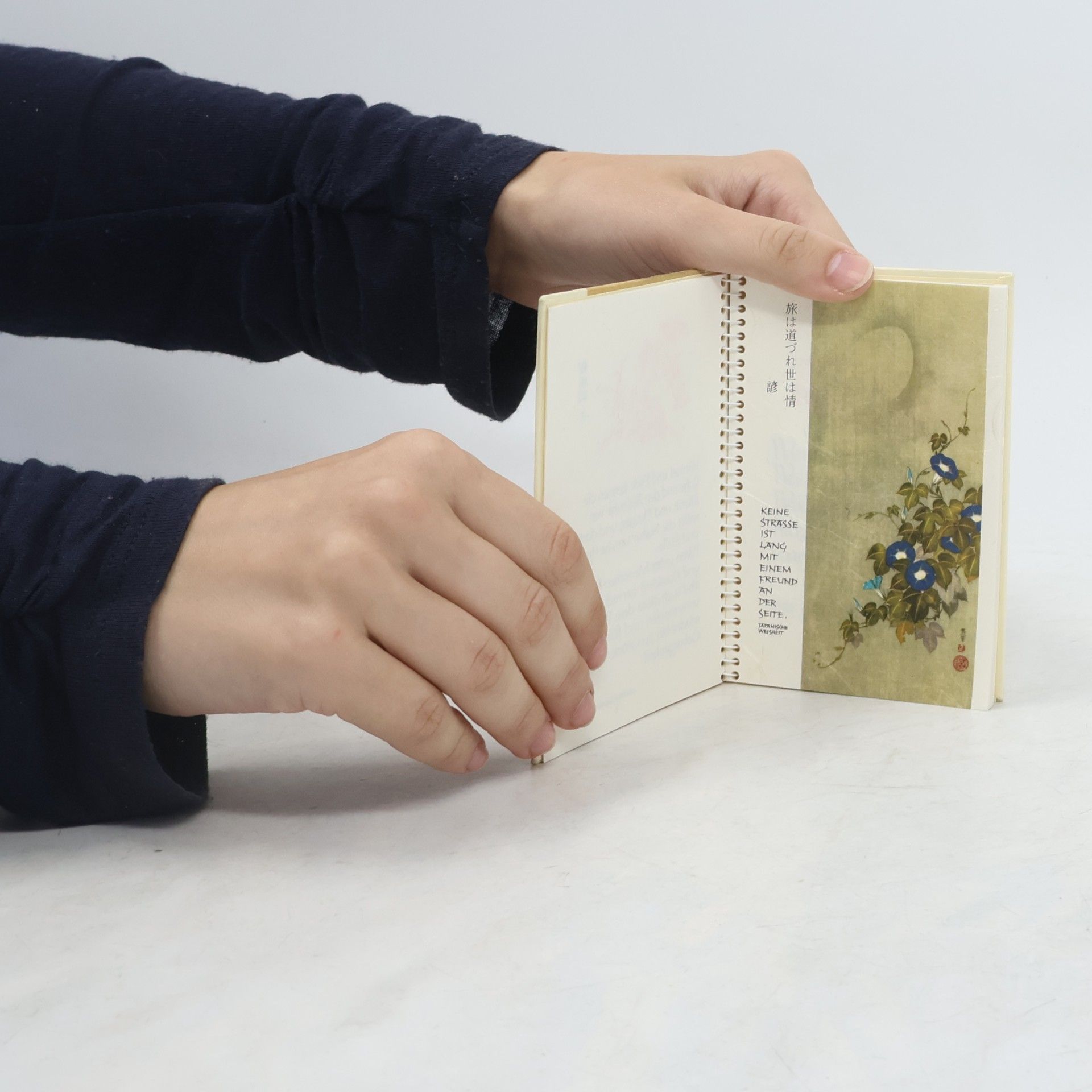 Collectif d'auteurs Quellen japanischer Weisheit