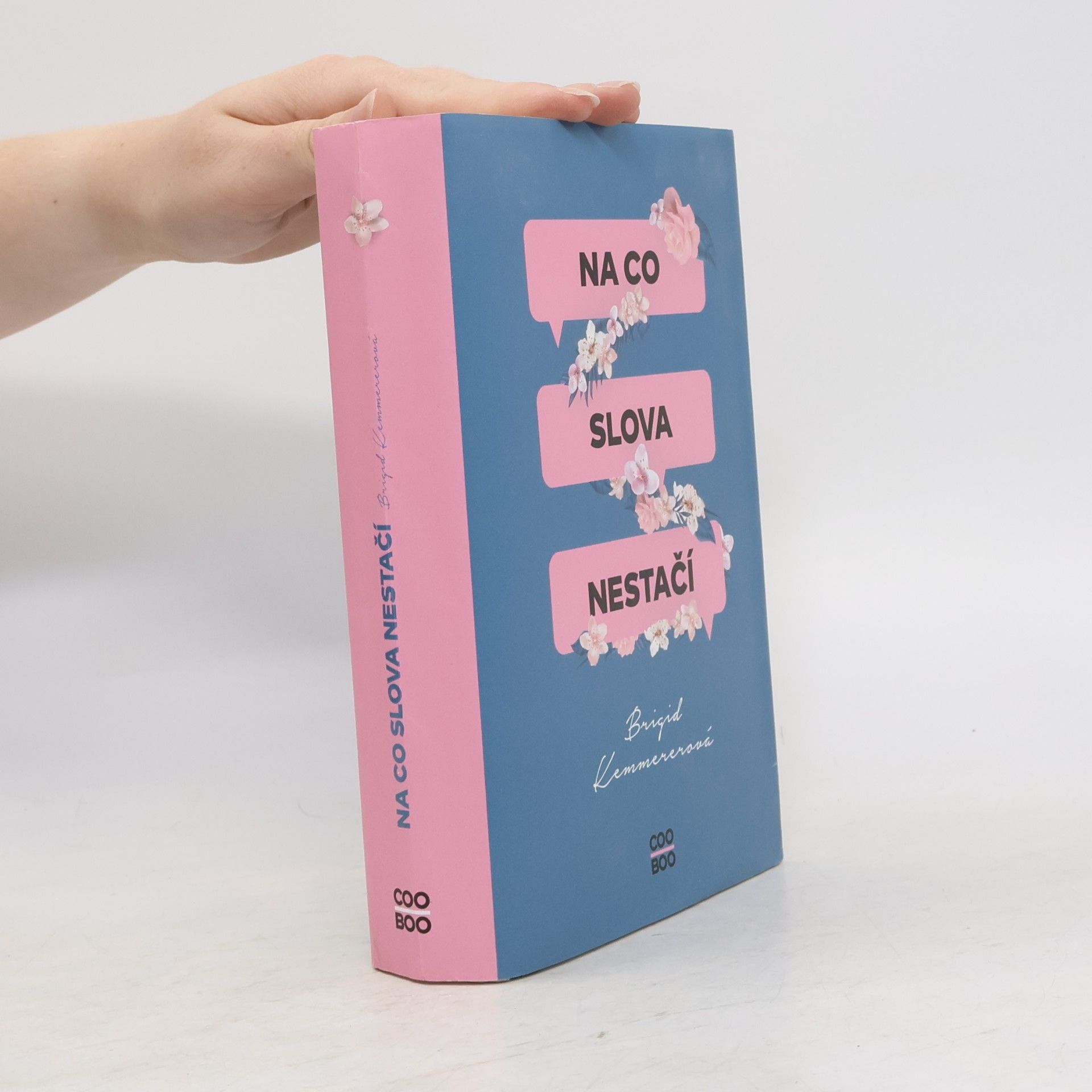Brigid Kemmerer Na co slova nestačí