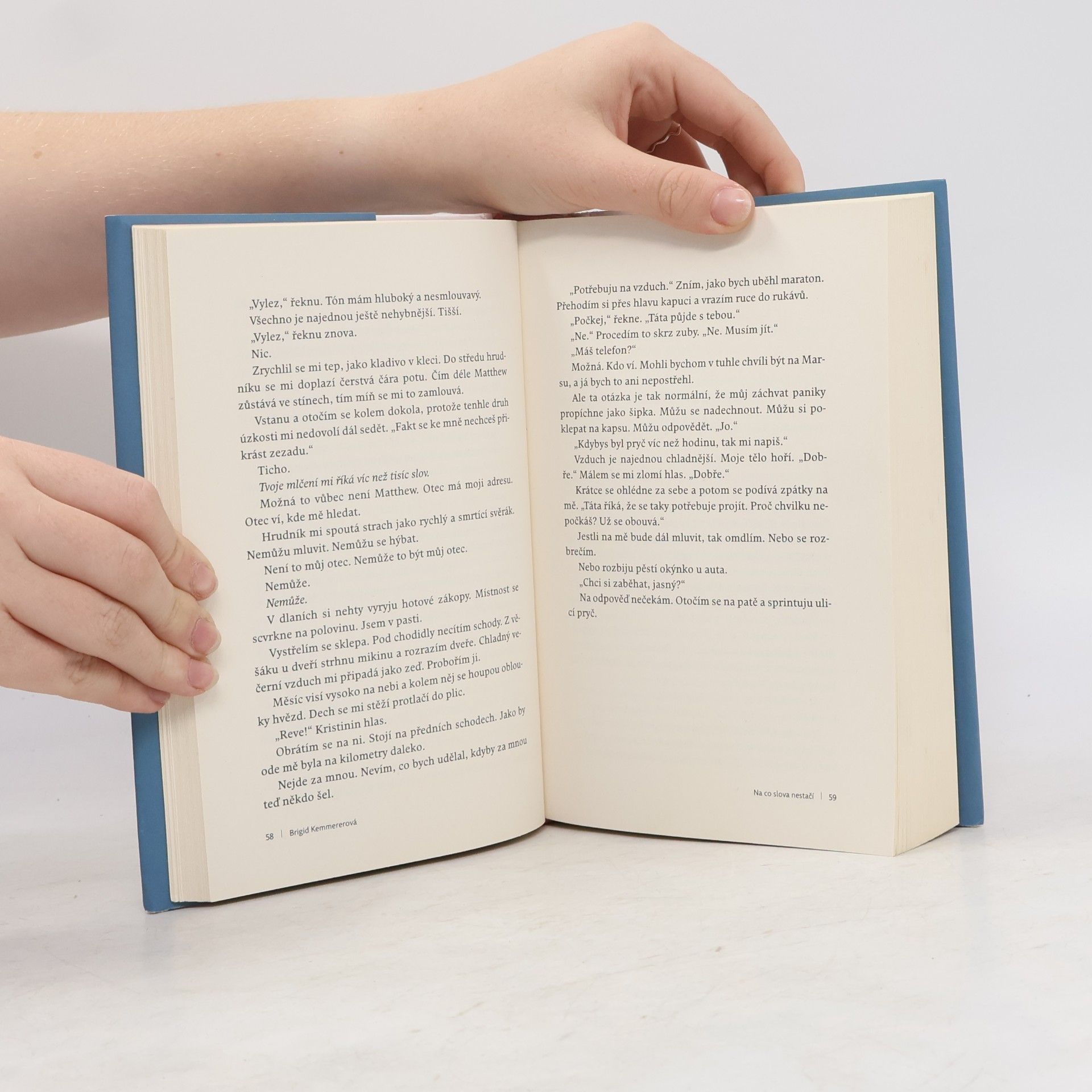 Brigid Kemmerer Na co slova nestačí