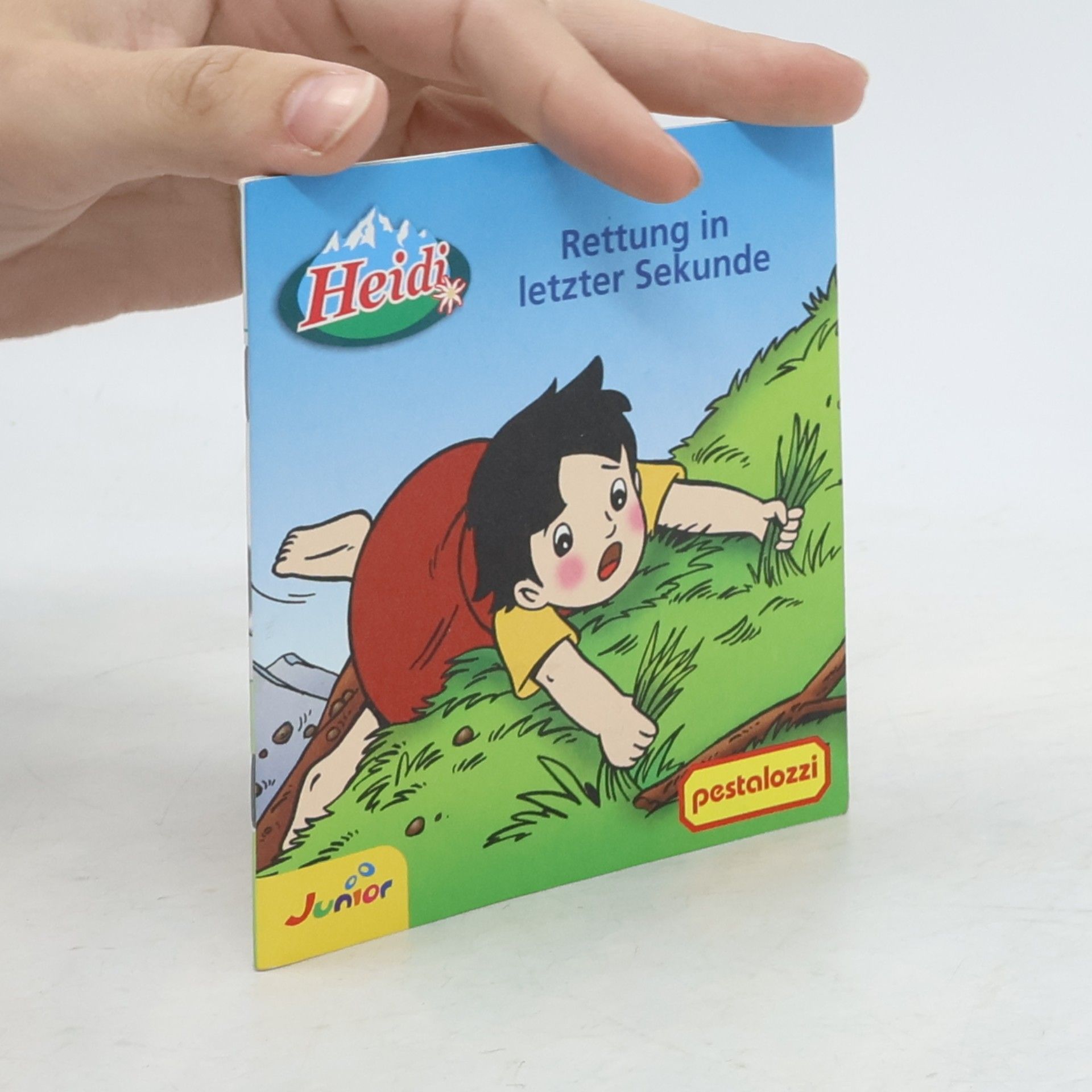 Autorenkollektiv Heidi. Ein Zuhause für Heidi
