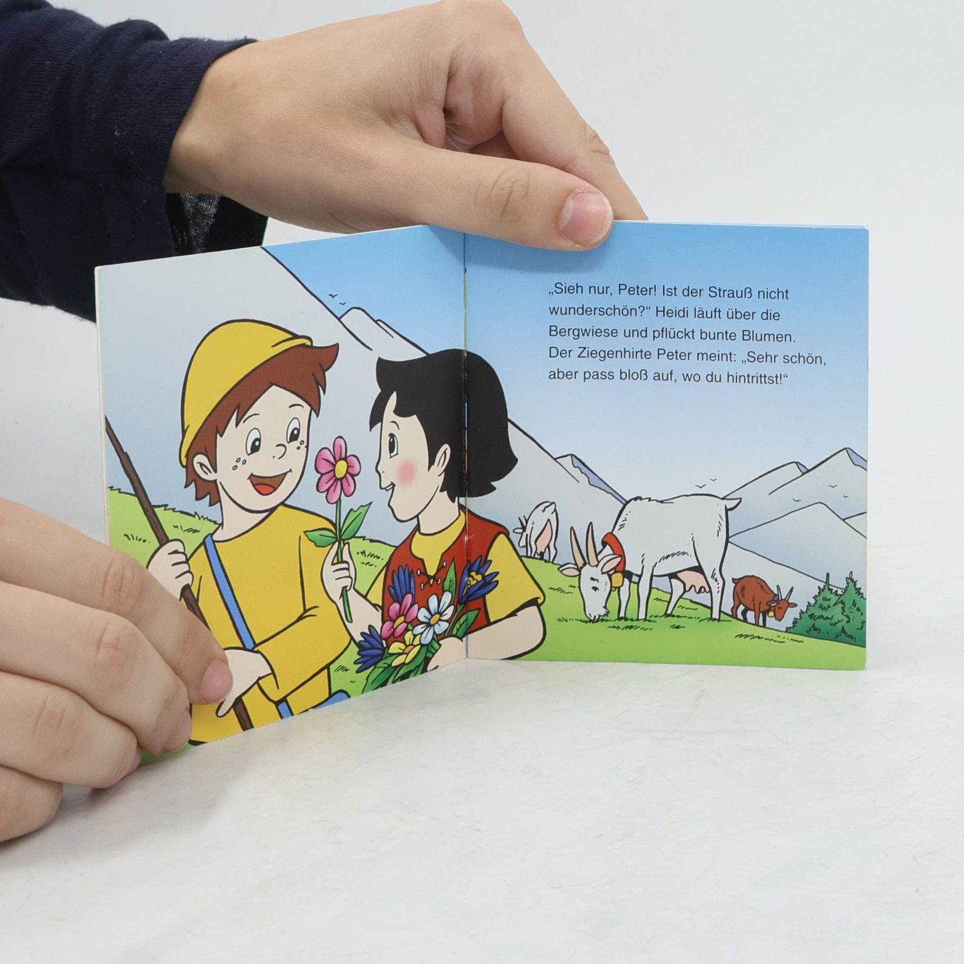 Autorenkollektiv Heidi. Ein Zuhause für Heidi