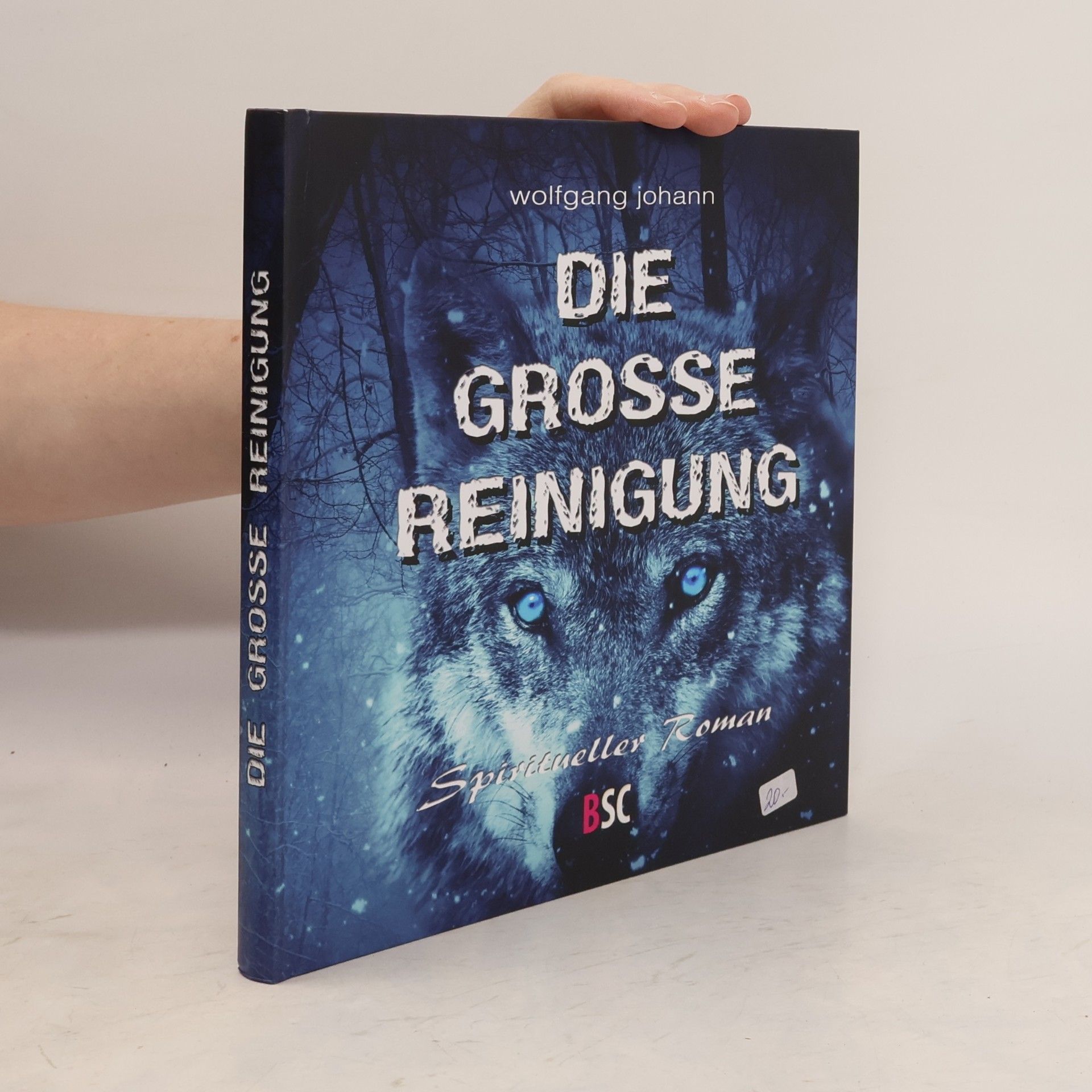 Wolfgang Johann Die grosse Reinigung