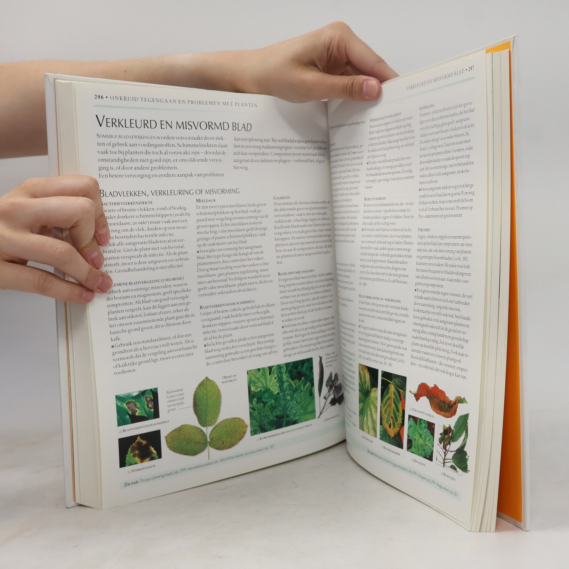 David Joyce Handboek tuinieren