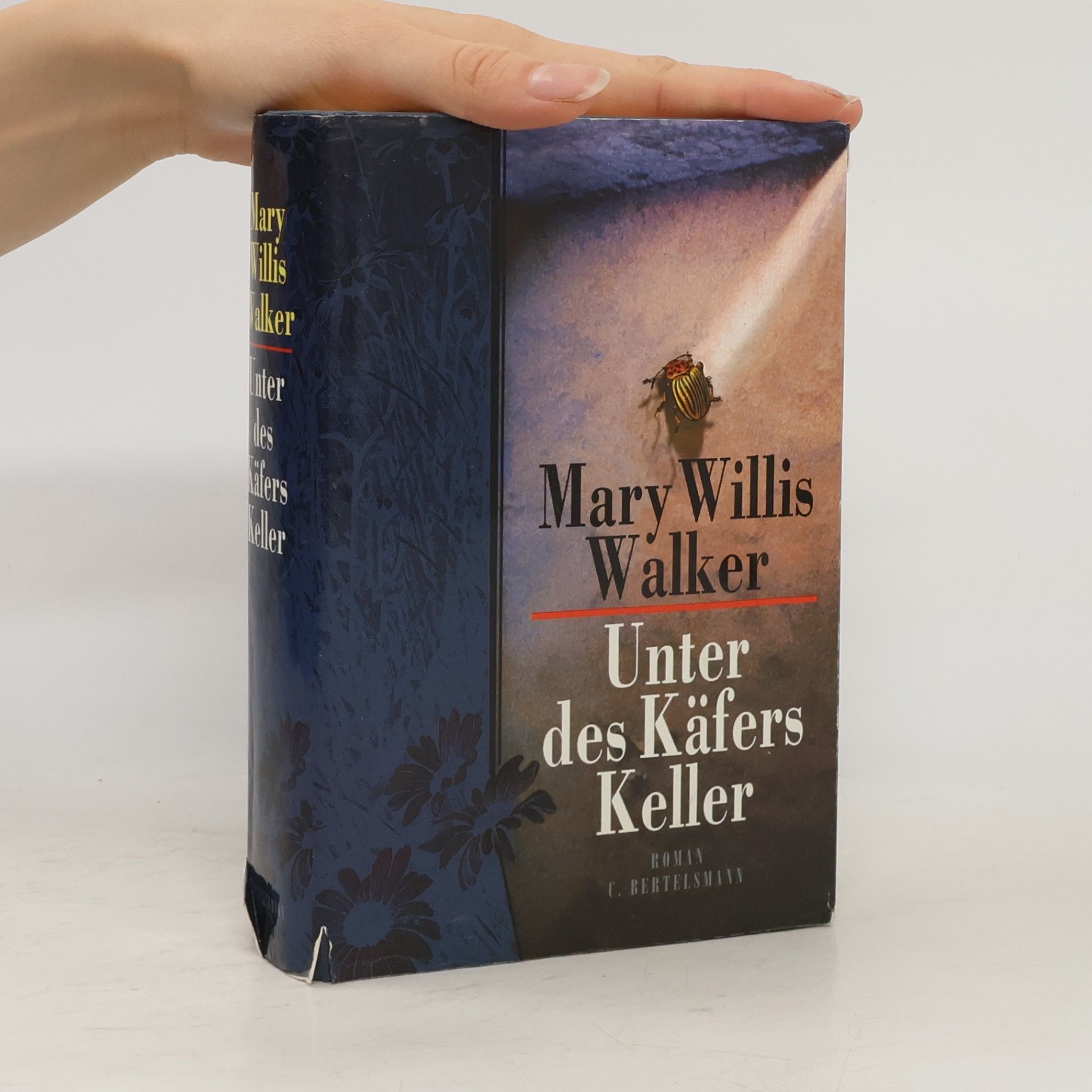 Mary Willis Walker Unter des Käfers Keller
