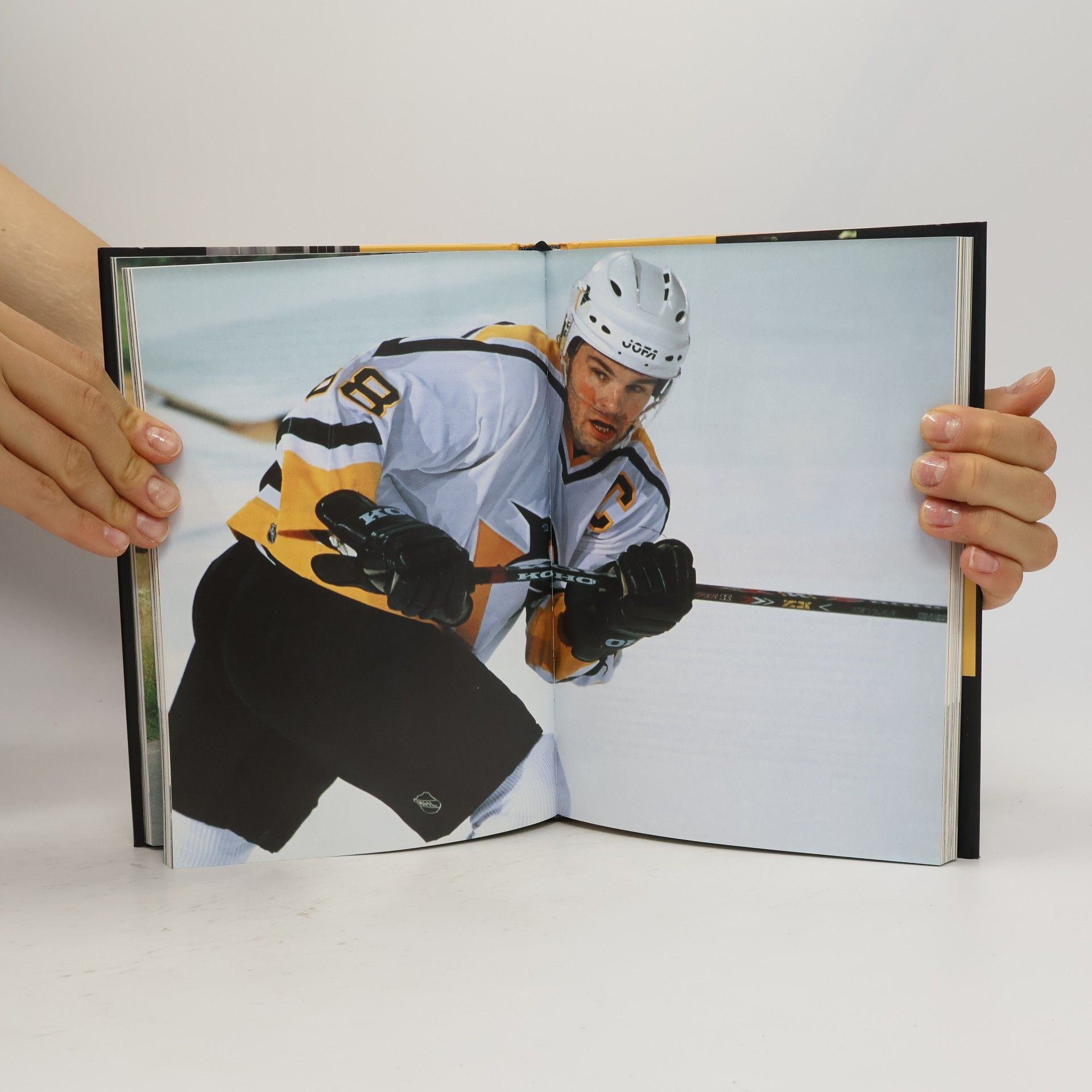 Jaromír Jágr Jaromír Jágr. Vlastní životopis. Má léta v Pittsburghu