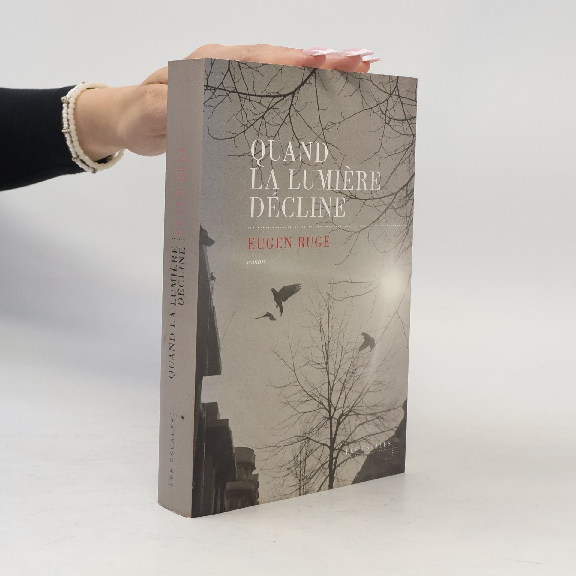 Pierre Deshusses Quand la lumière décline
