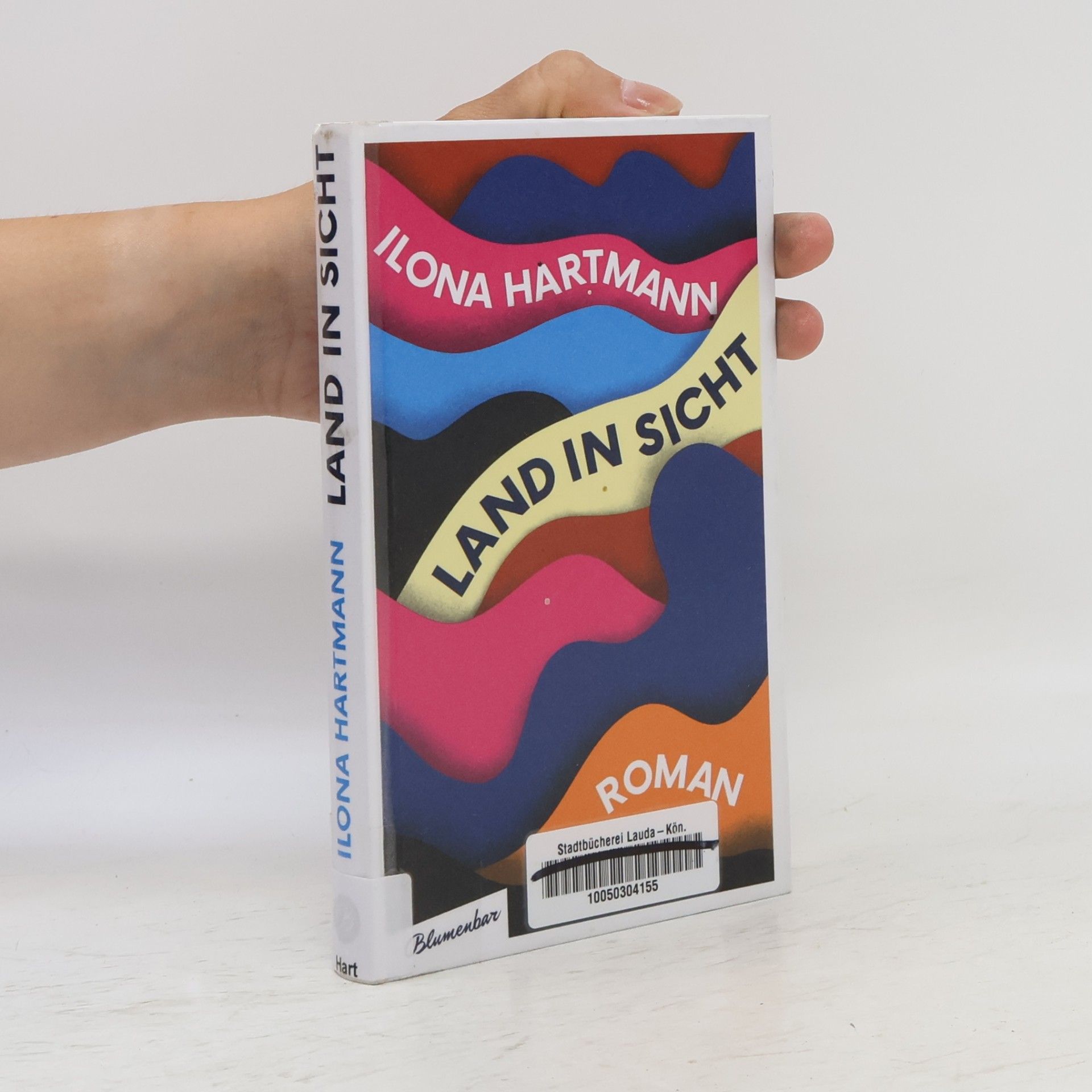 Ilona Hartmann Land in Sicht