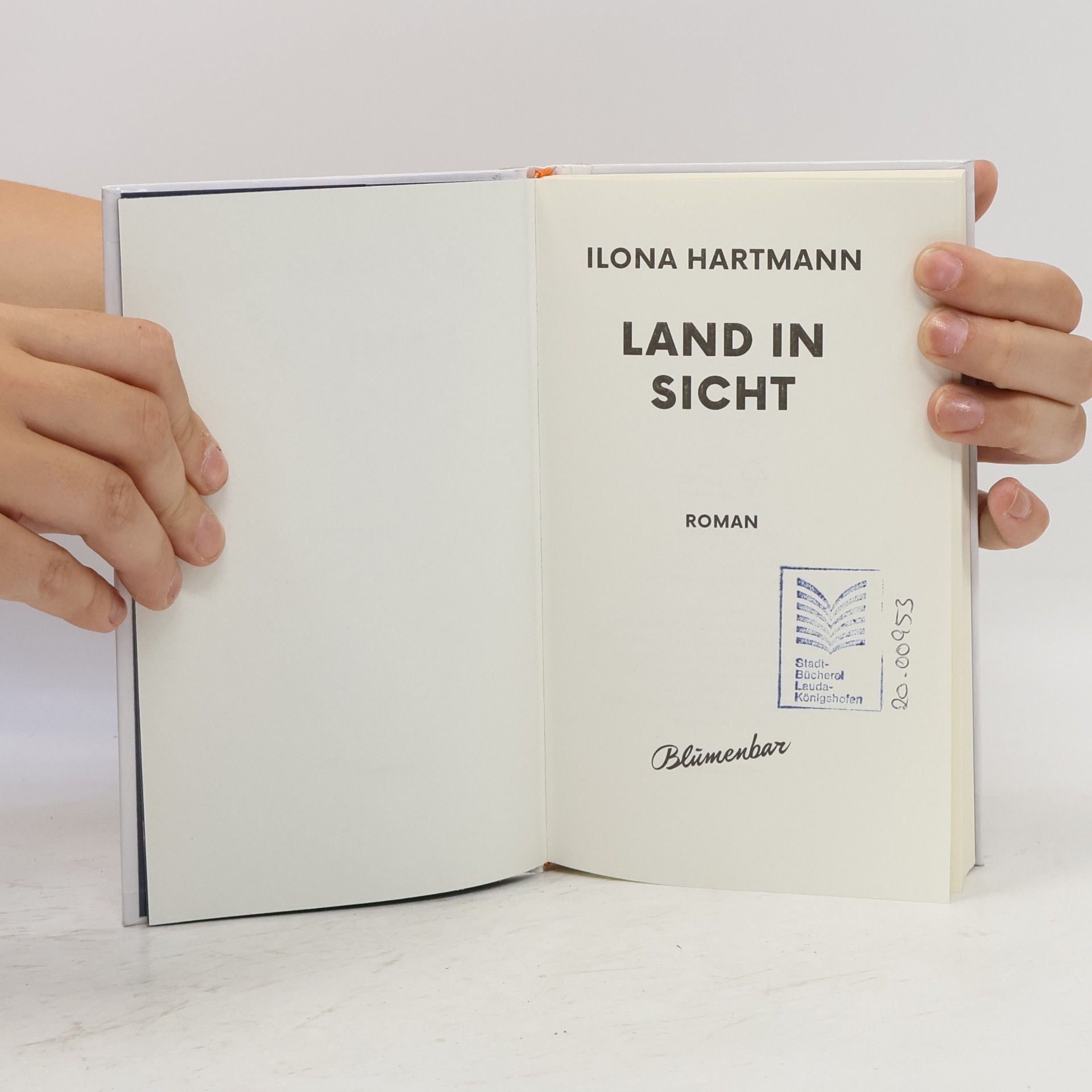 Ilona Hartmann Land in Sicht